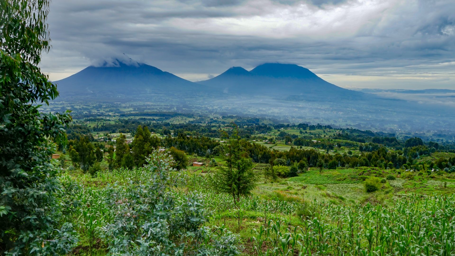 File:Volcanoes National Park Rwanda.jpg
