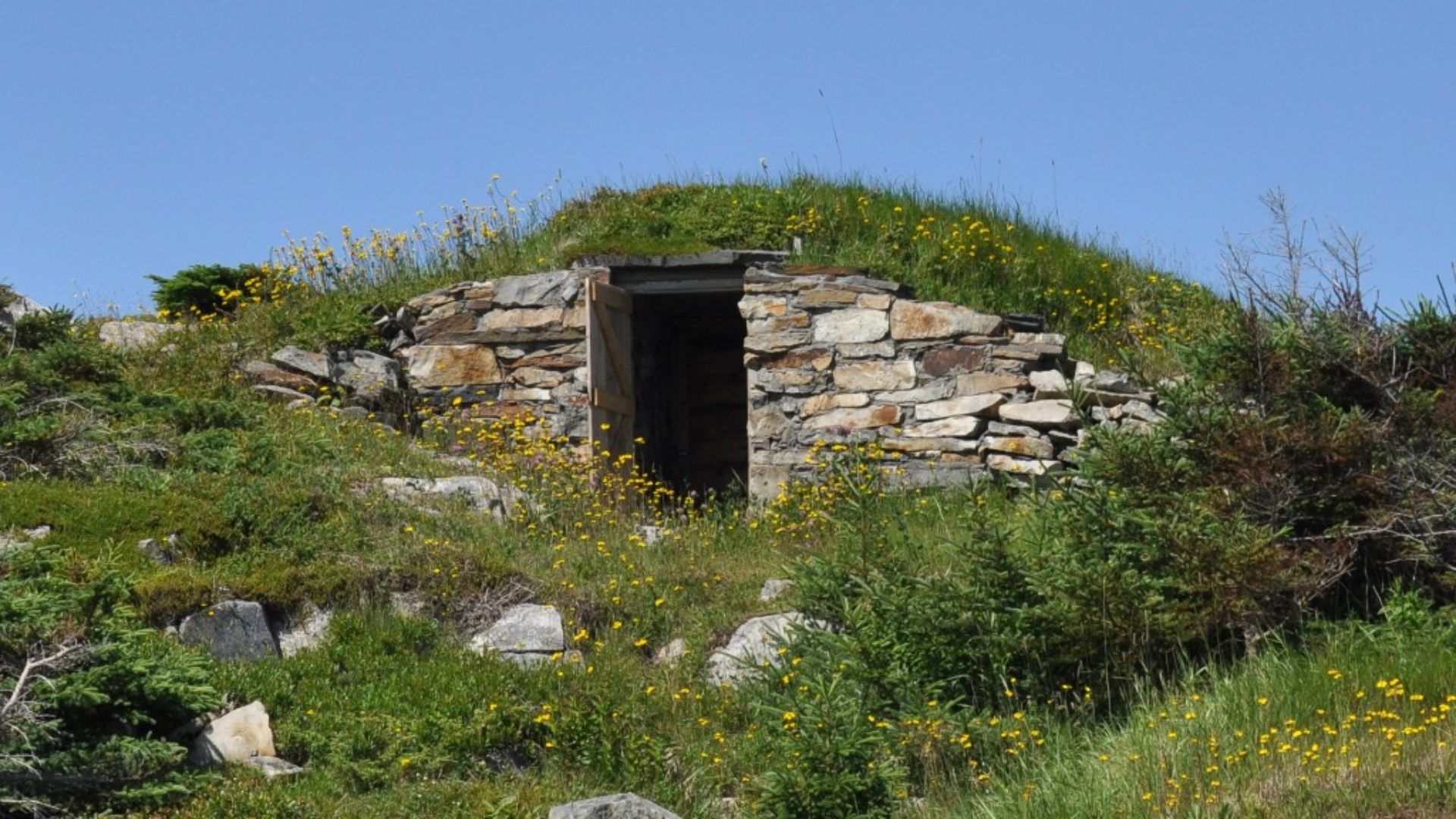 File:EllistonNL JimGoodlandUpstairsRootCellar.jpg