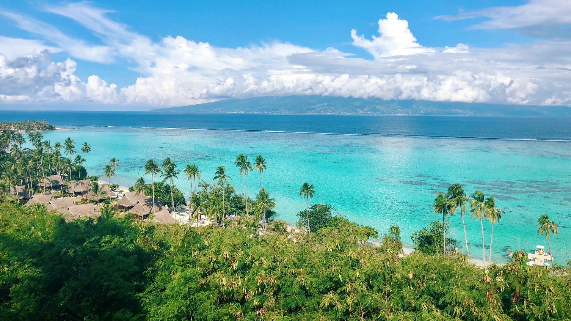 a view of a tropical island with palm trees