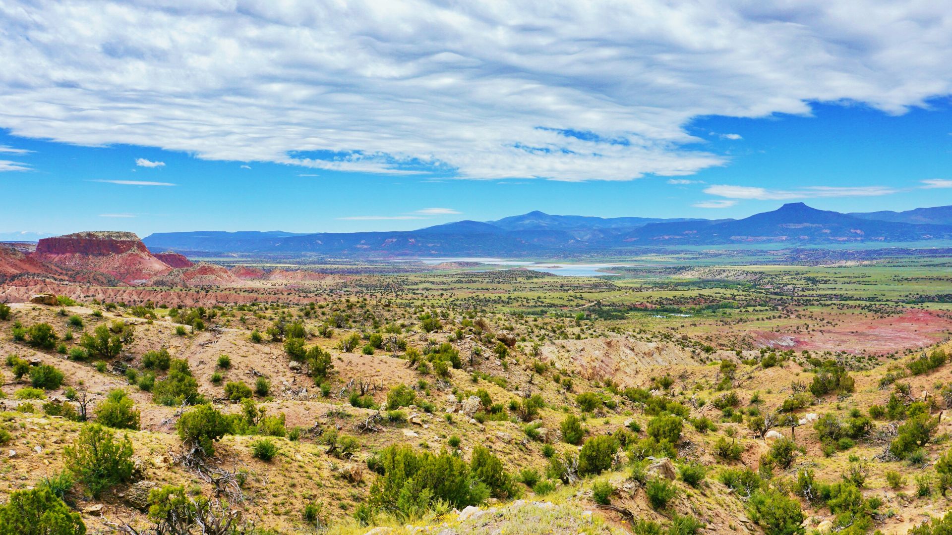 green grass field under blue sky during daytime