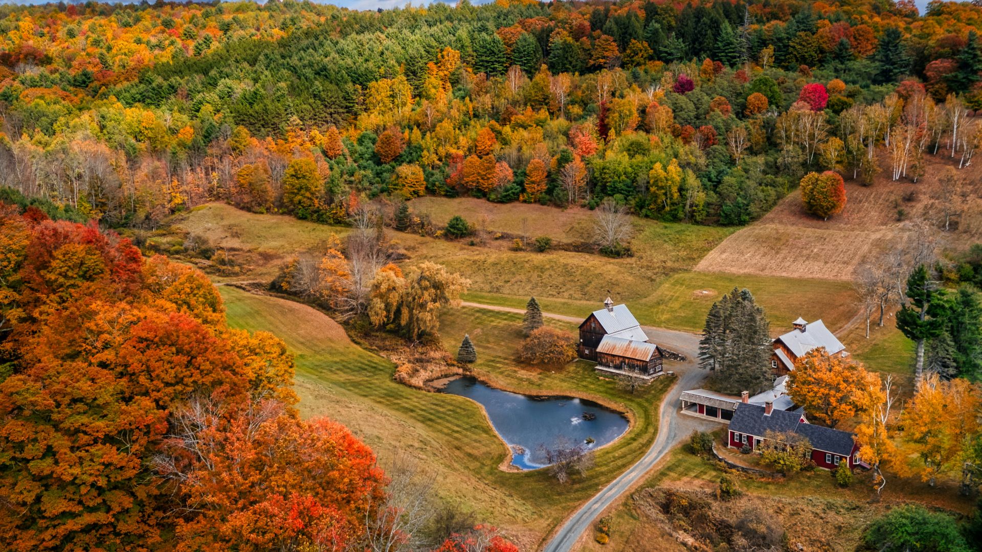 white car on road surrounded by trees during daytime