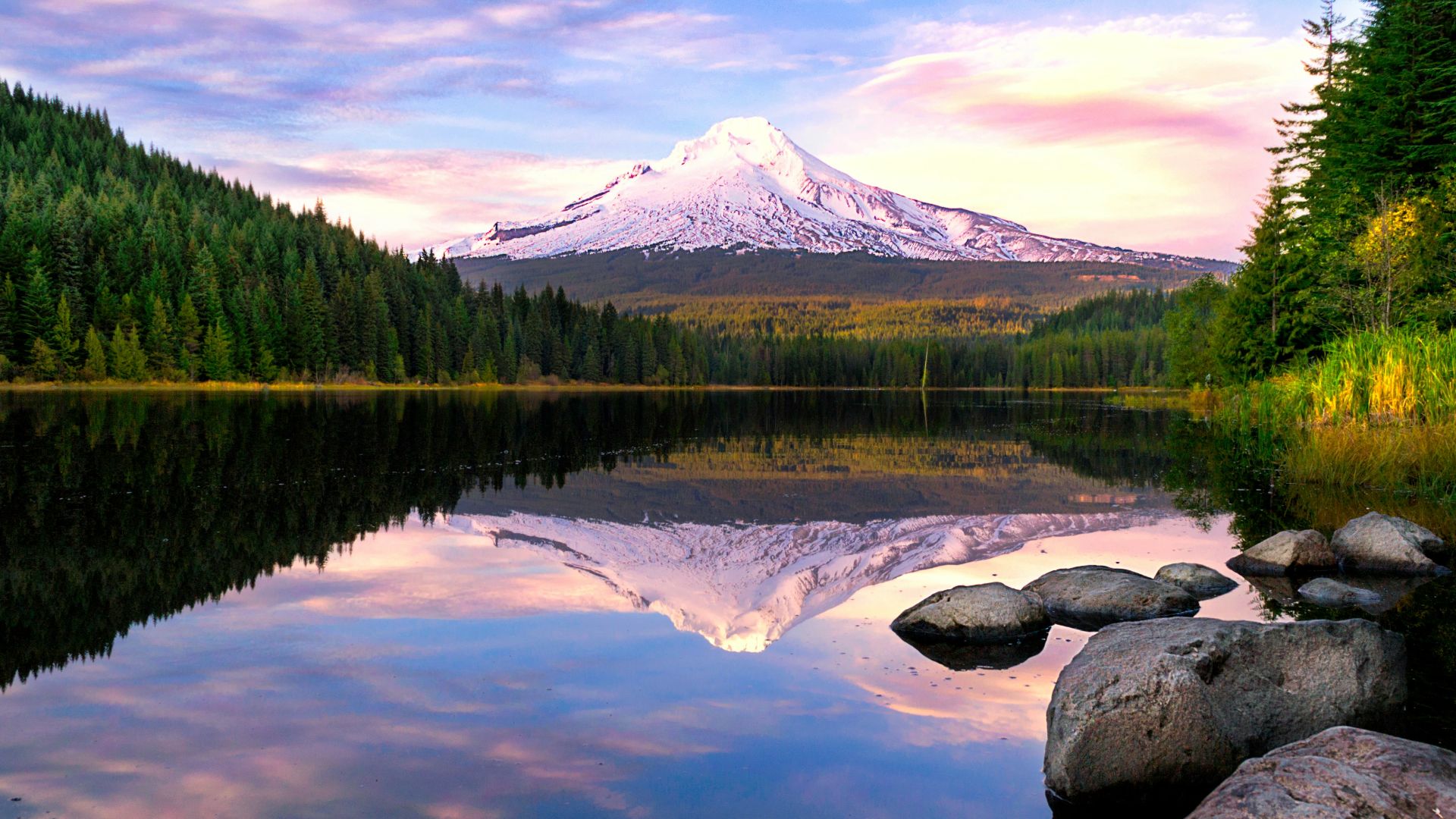 lake surrounded by pine trees near snow-covered mountain