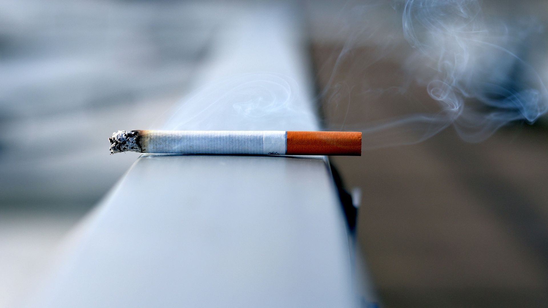 white cigarette stick on white wall