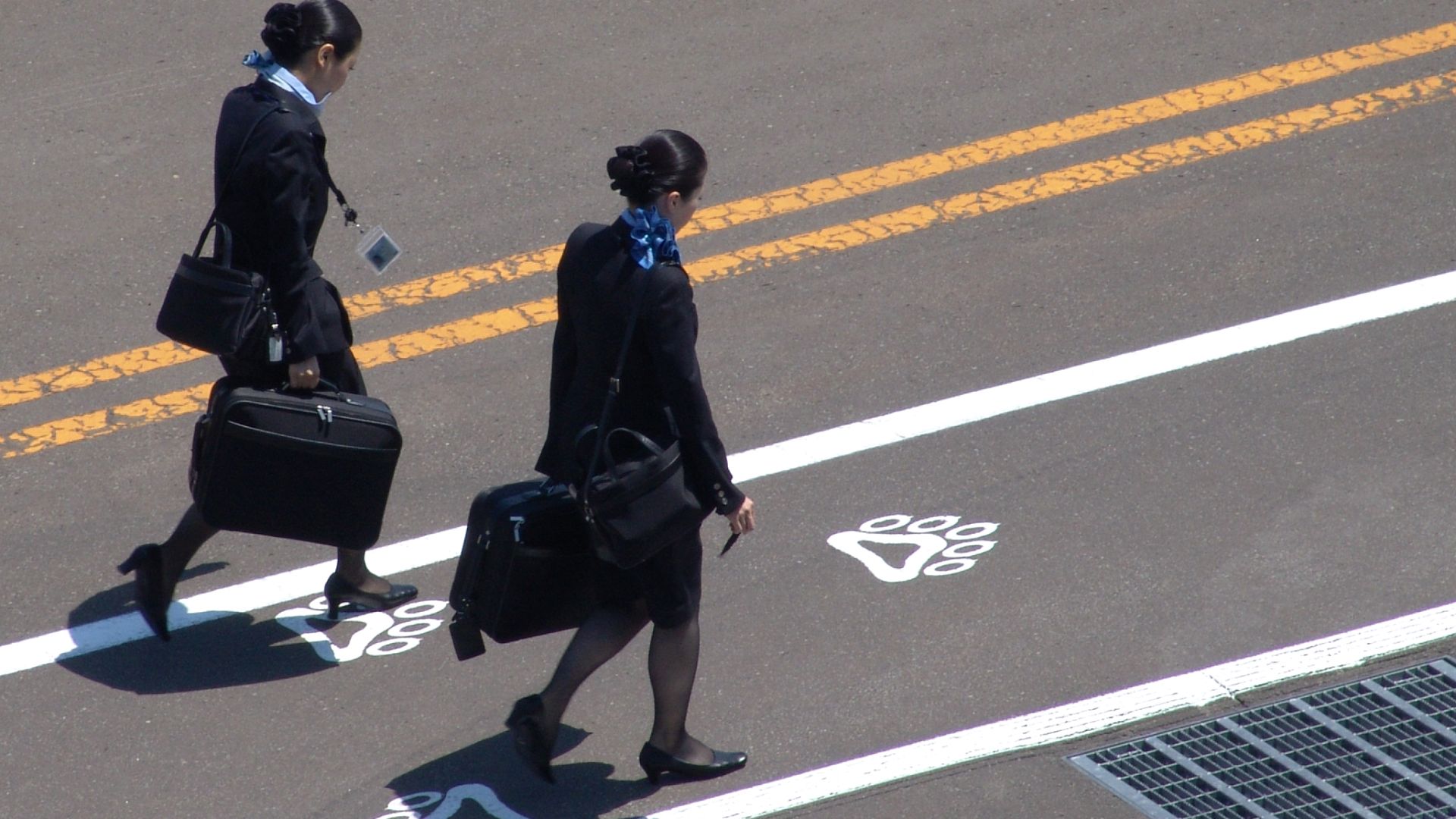 File:Flight attendants. (3660162556).jpg