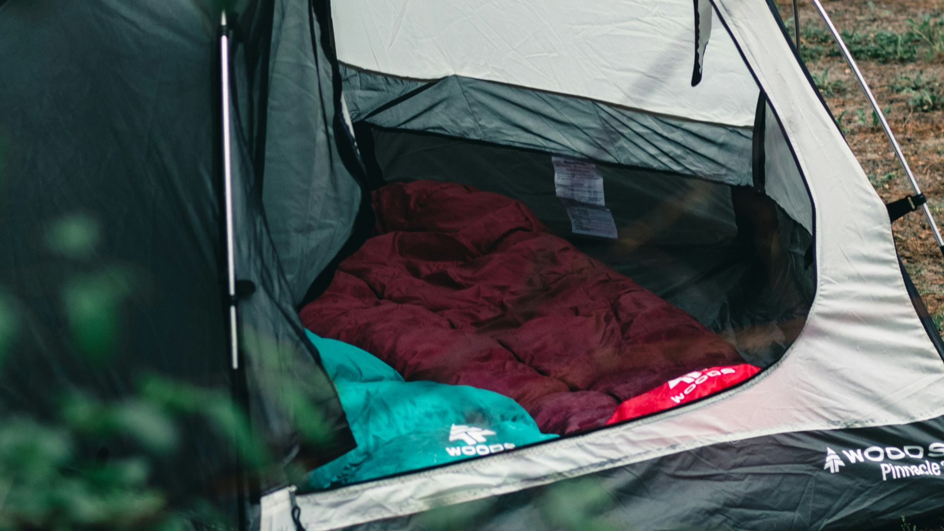 green and white tent on green grass field during daytime