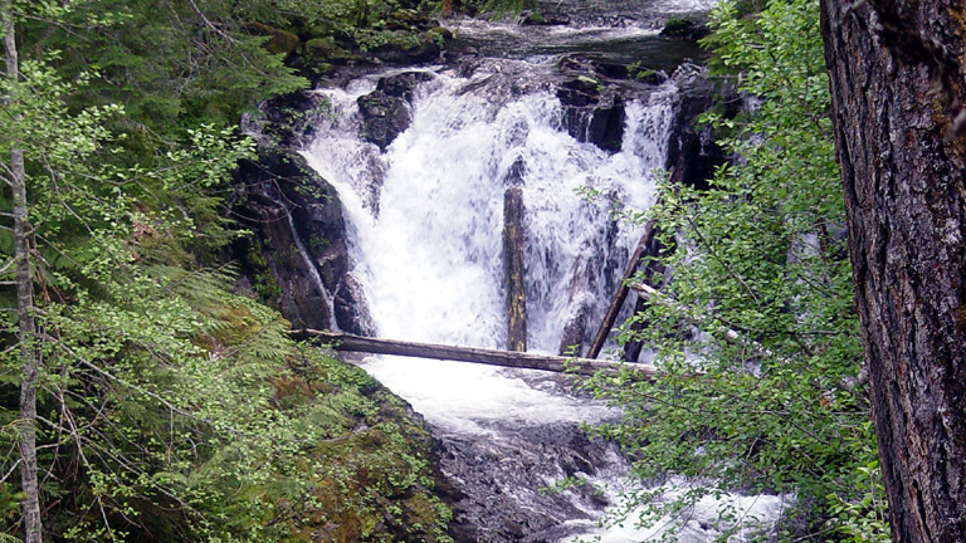 File:Hidden off-trail waterfall in Bull of The Woods wilderness, Oregon.jpg