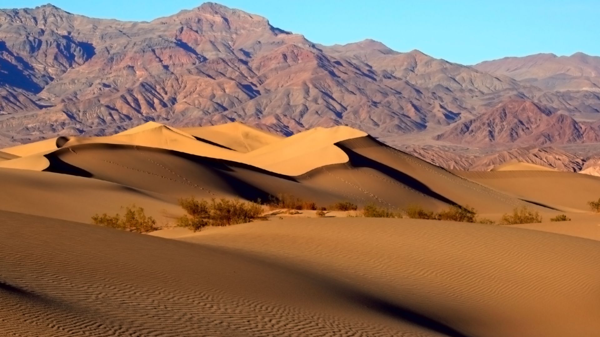 File:Mesquite Sand Dunes in Death Valley.jpg