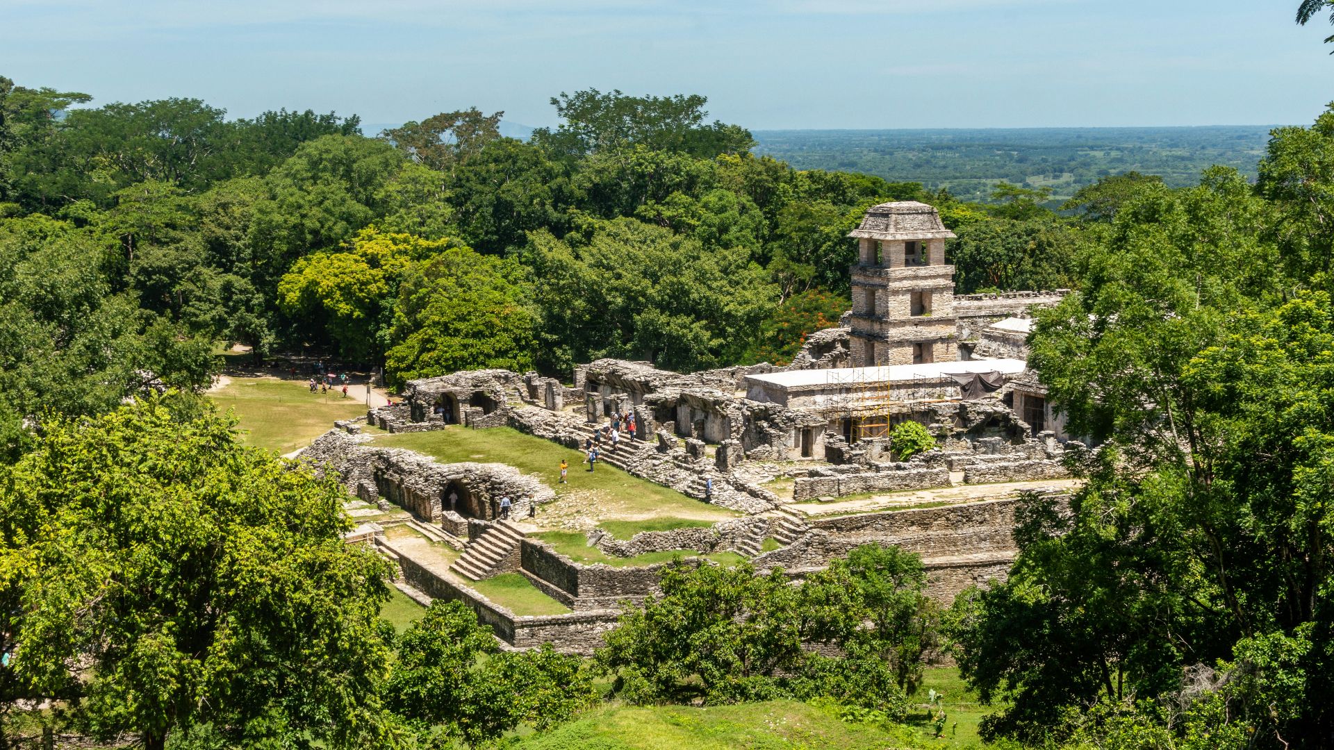 green trees and grass field during daytime
