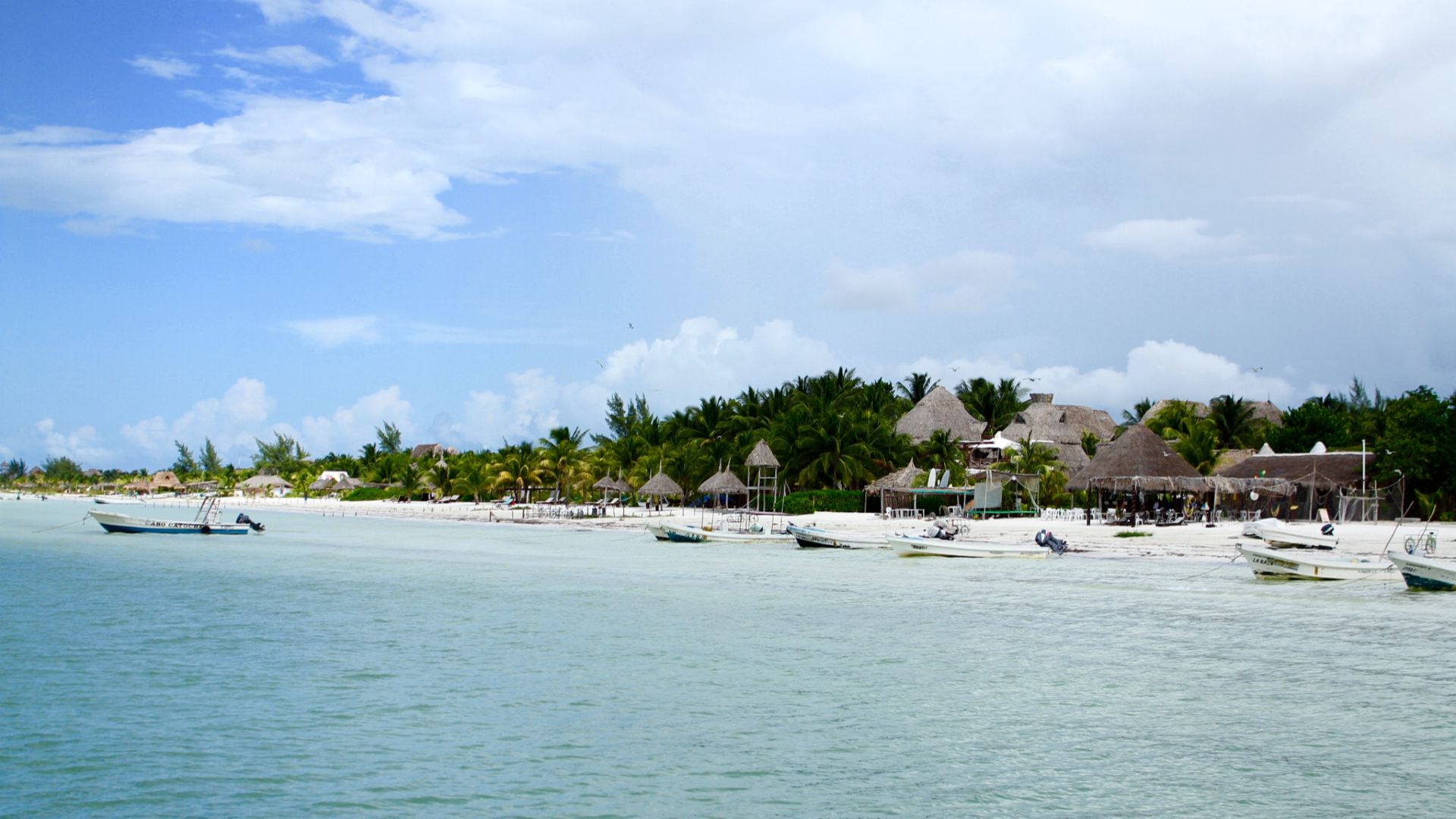 File:Isla Holbox (123788705).jpeg