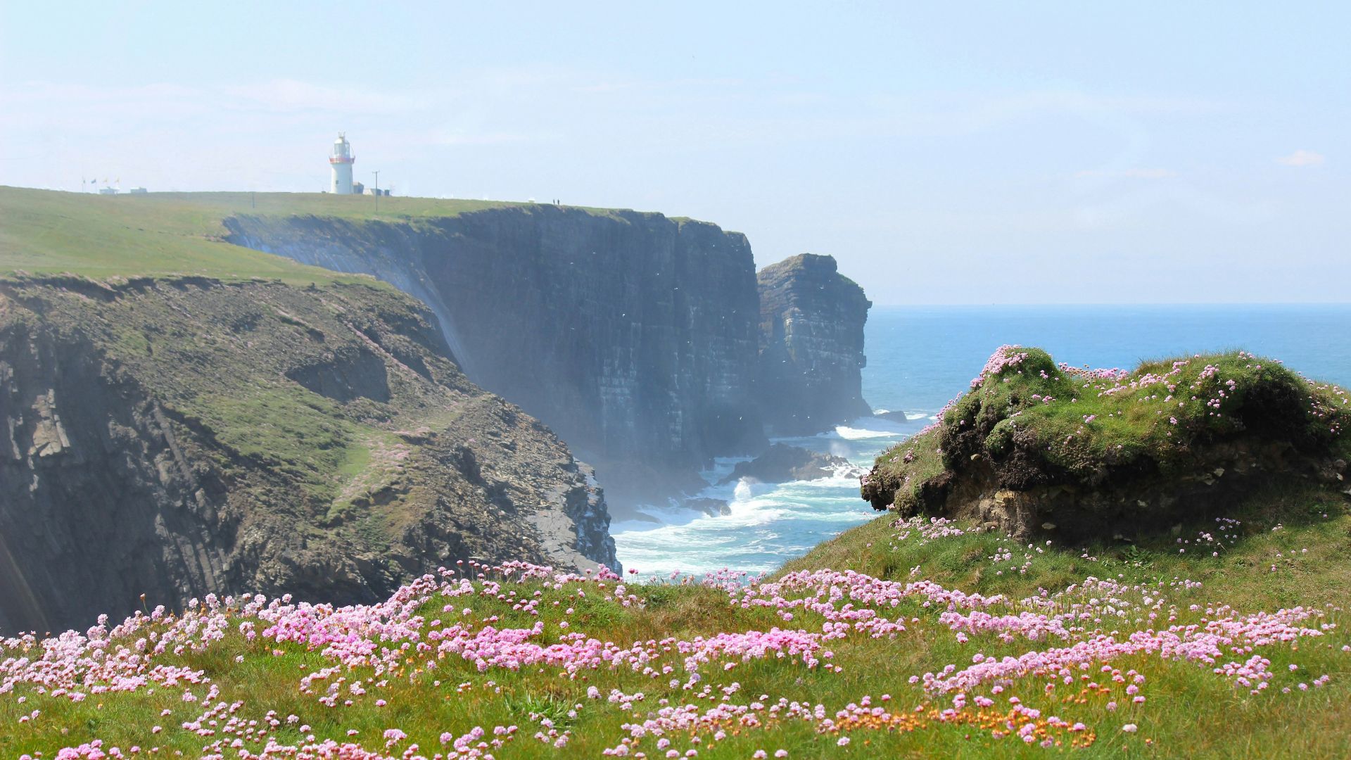 green grass covered mountain beside body of water during daytime