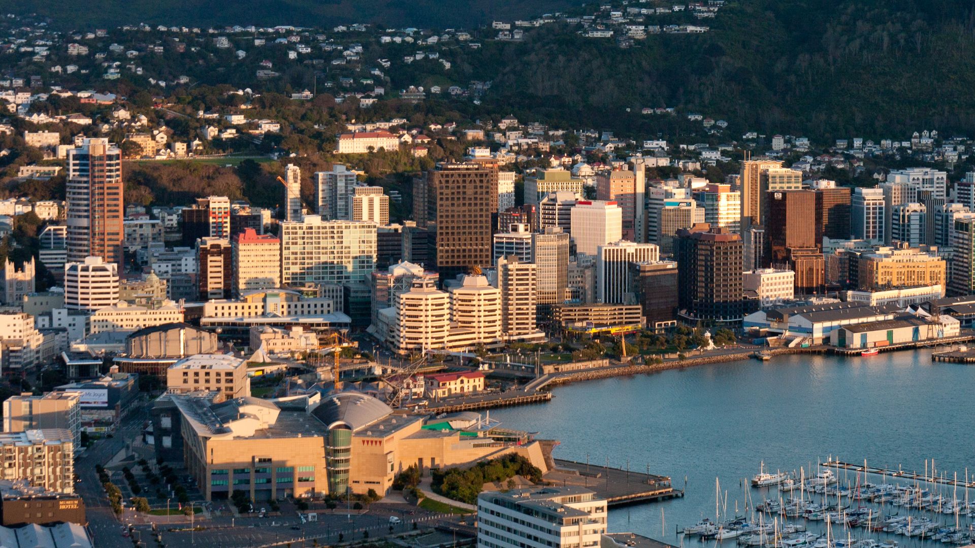 File:Wellington at dawn.jpg