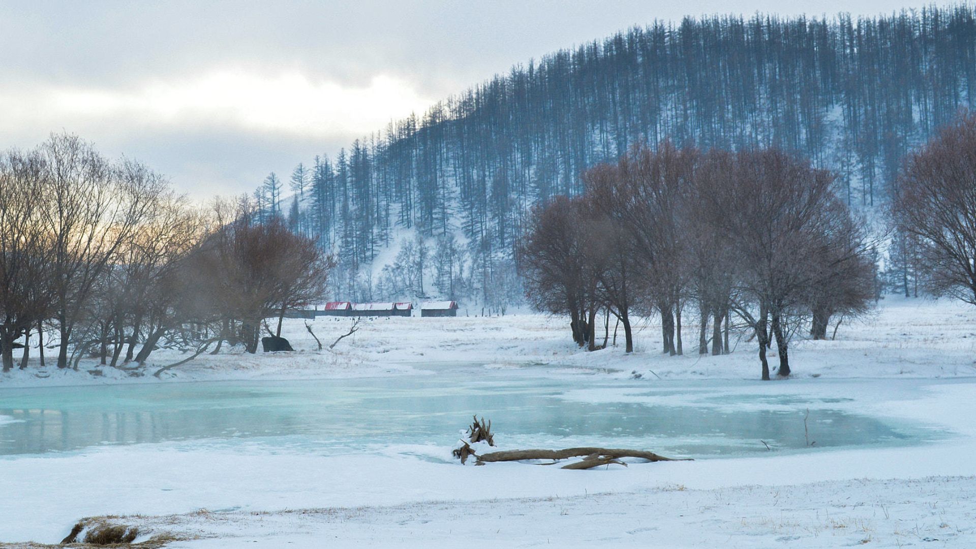 File:Mongolia Winter (127750833).jpeg