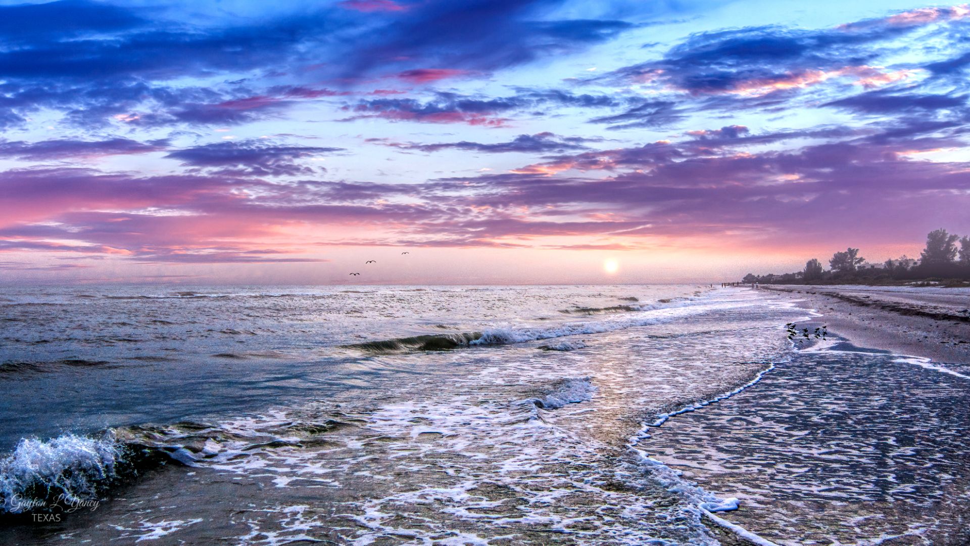 File:Sanibel Island Florida (51116372124).jpg