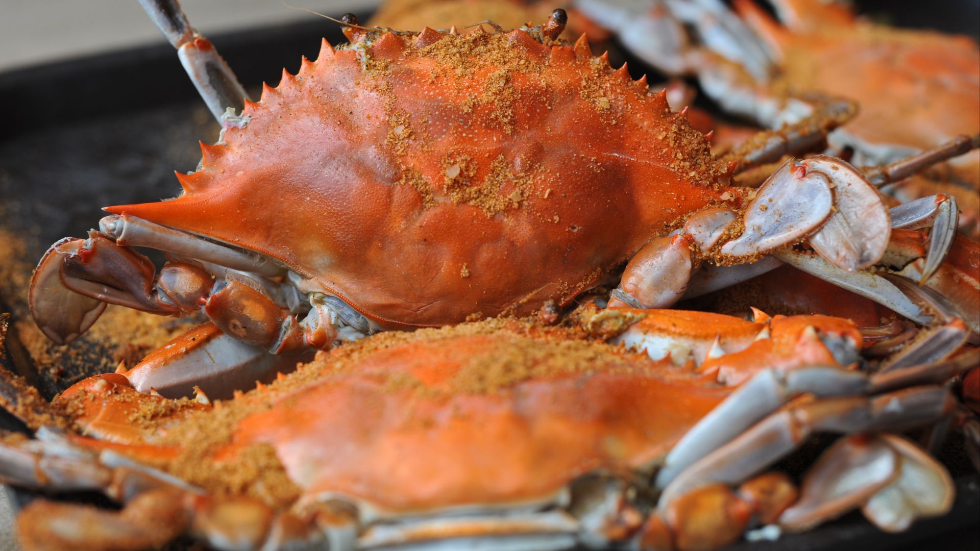 File:Maryland blue crabs.jpg