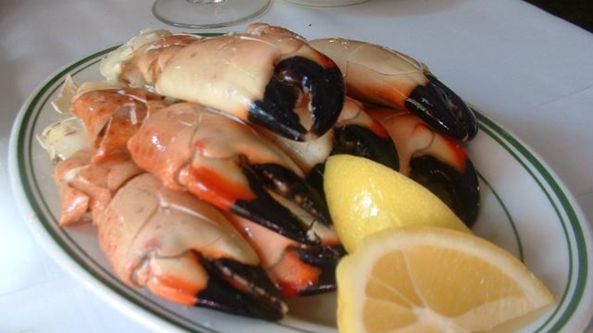 File:Stone crab.jpg