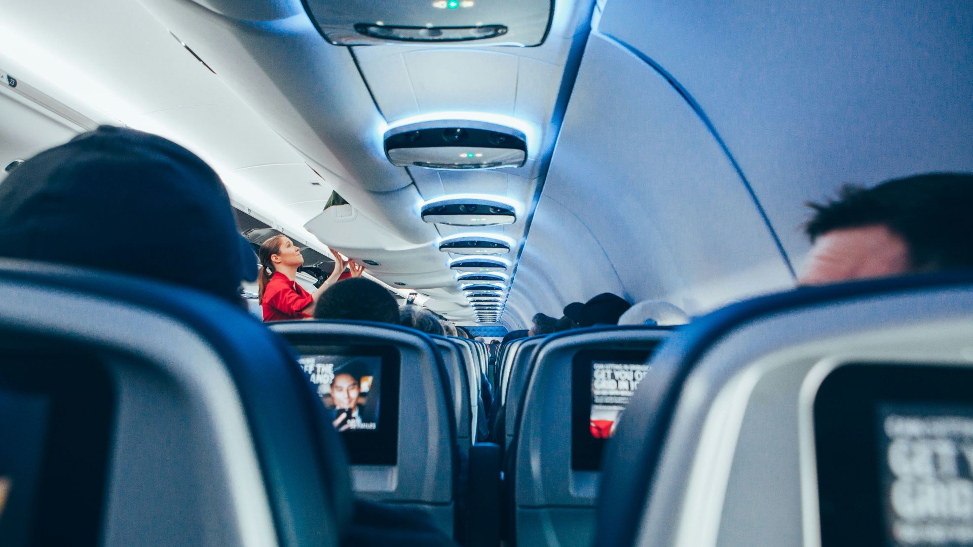 photo of plane interior