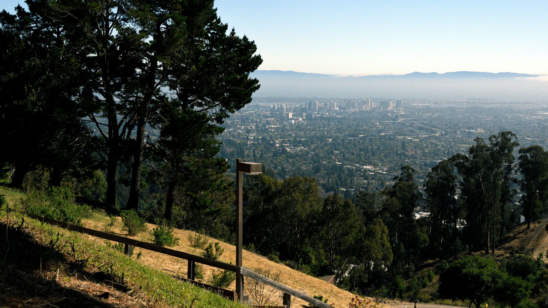 green trees on mountain during daytime