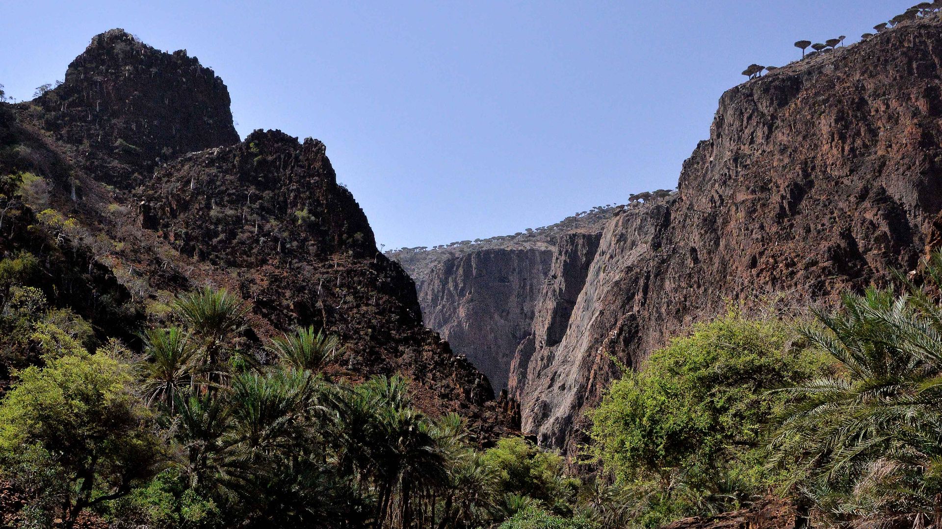File:Socotra Island, Yemen (16833268055).jpg