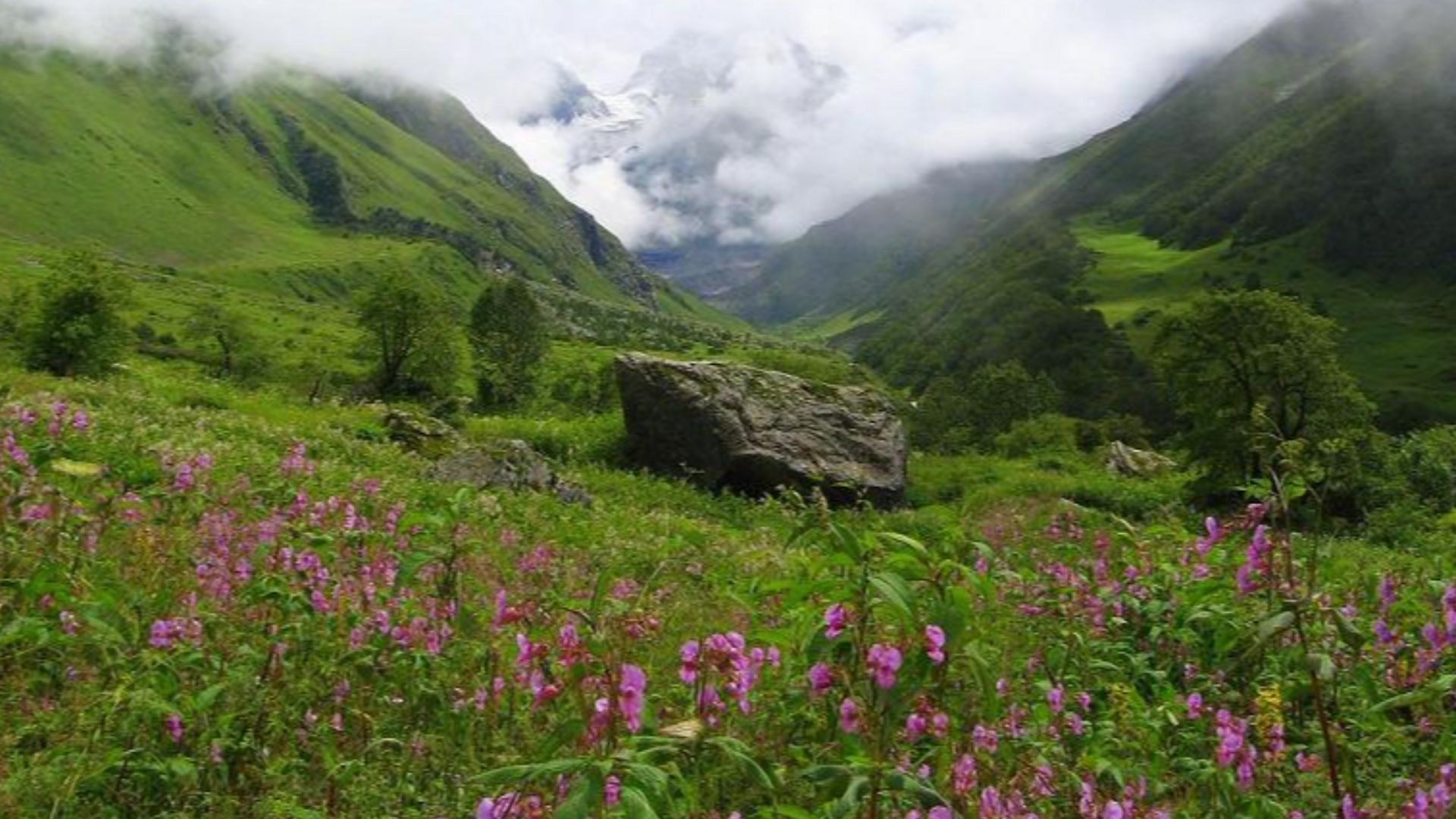 File:Valley of flowers uttaranchal full view.JPG