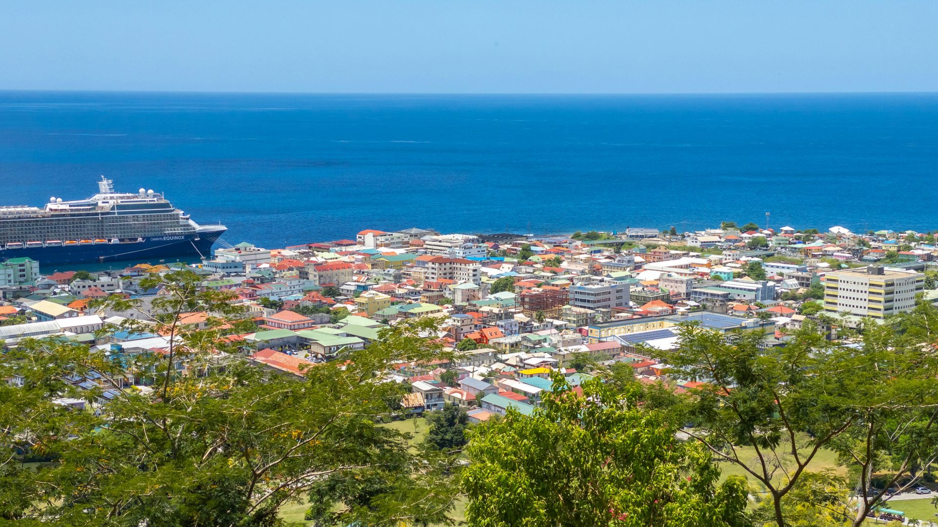 a cruise ship is docked in the water near a city