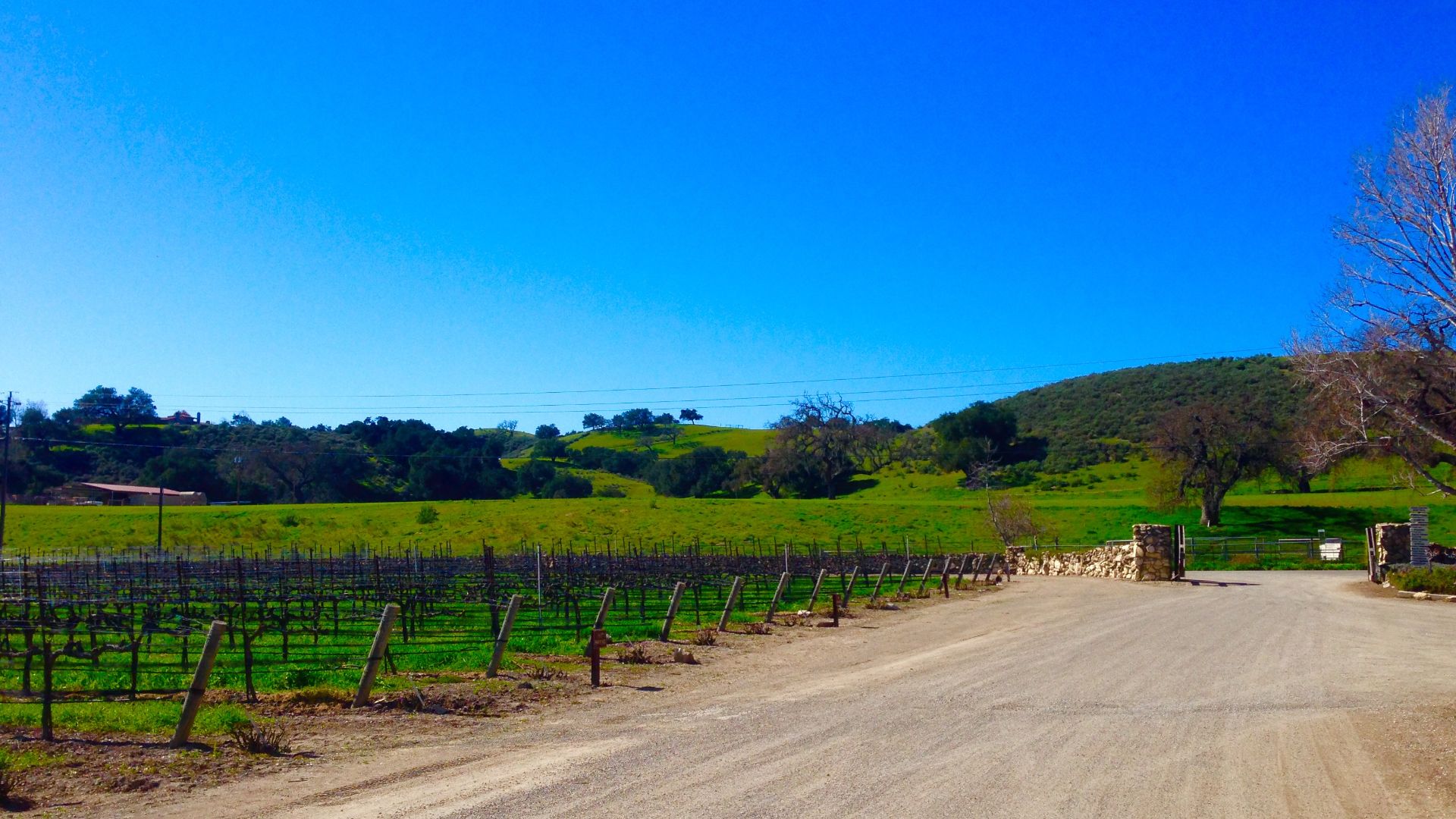 File:Sunstone-Vineyards-in-Santa-Ynez-Valley-Winetour-Visit-American-Luxury-Limousine-2015.jpg