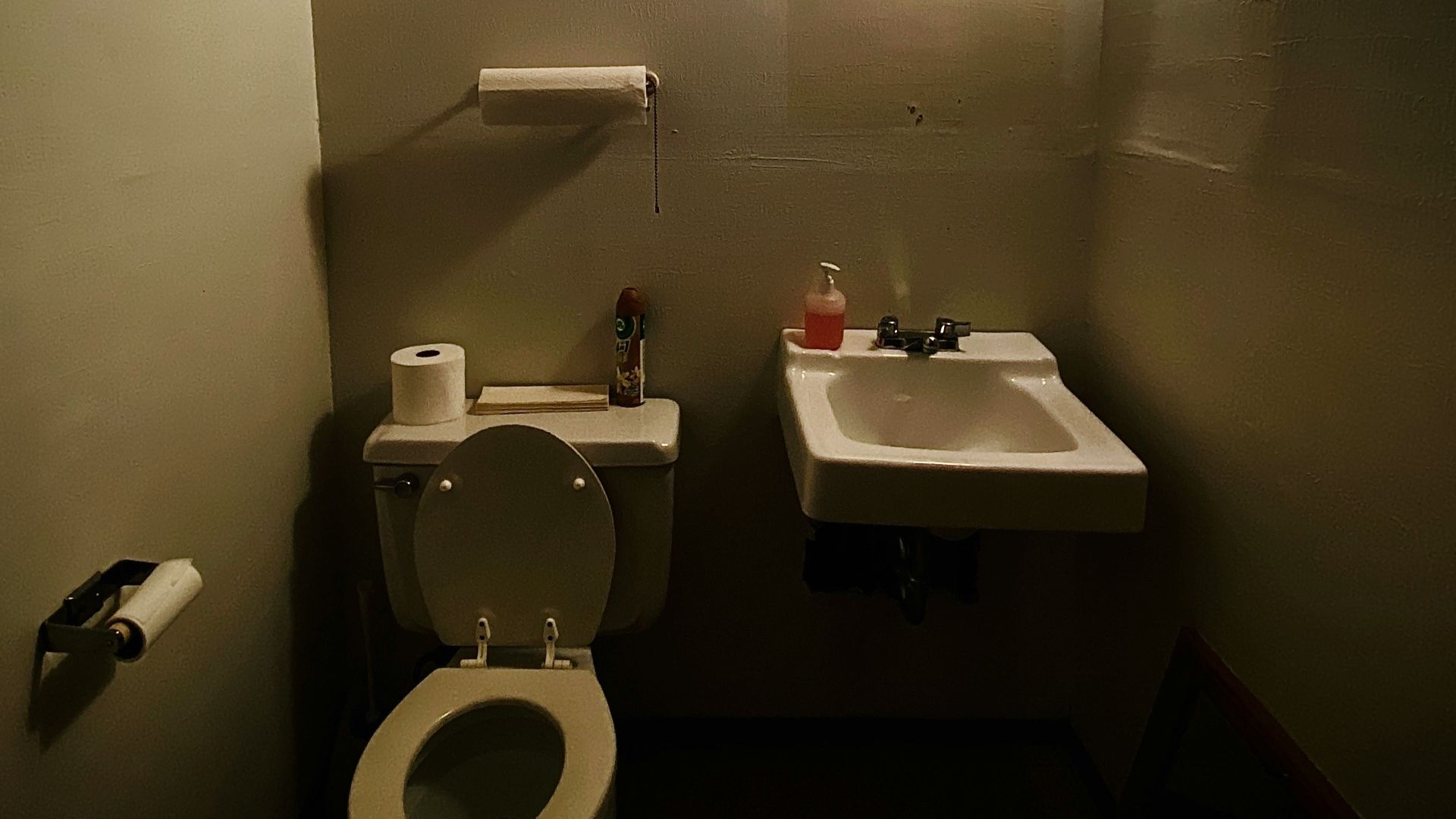 a bathroom with a toilet and a sink