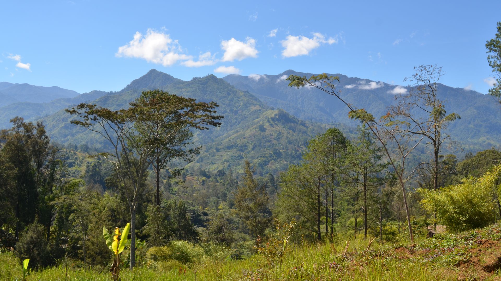 File:Papua New Guinea (5986599443).jpg