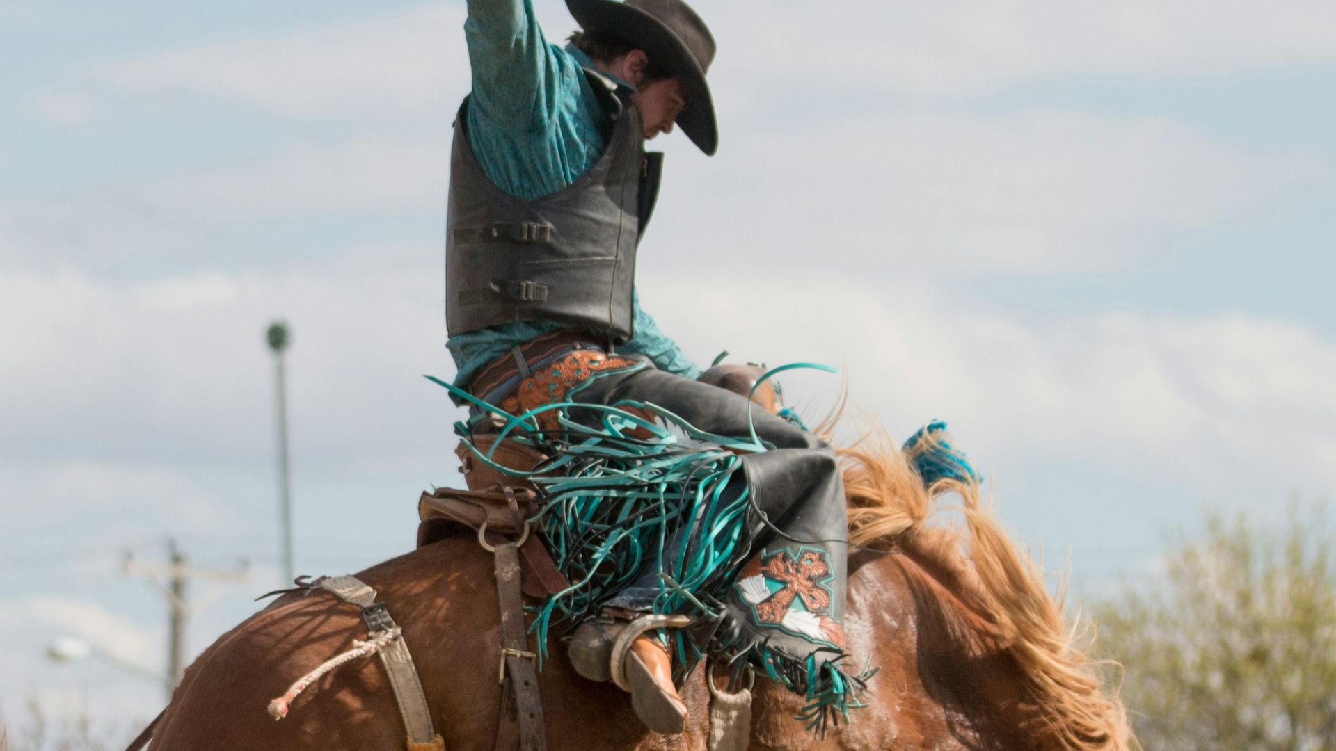 man riding brown horse during daytime