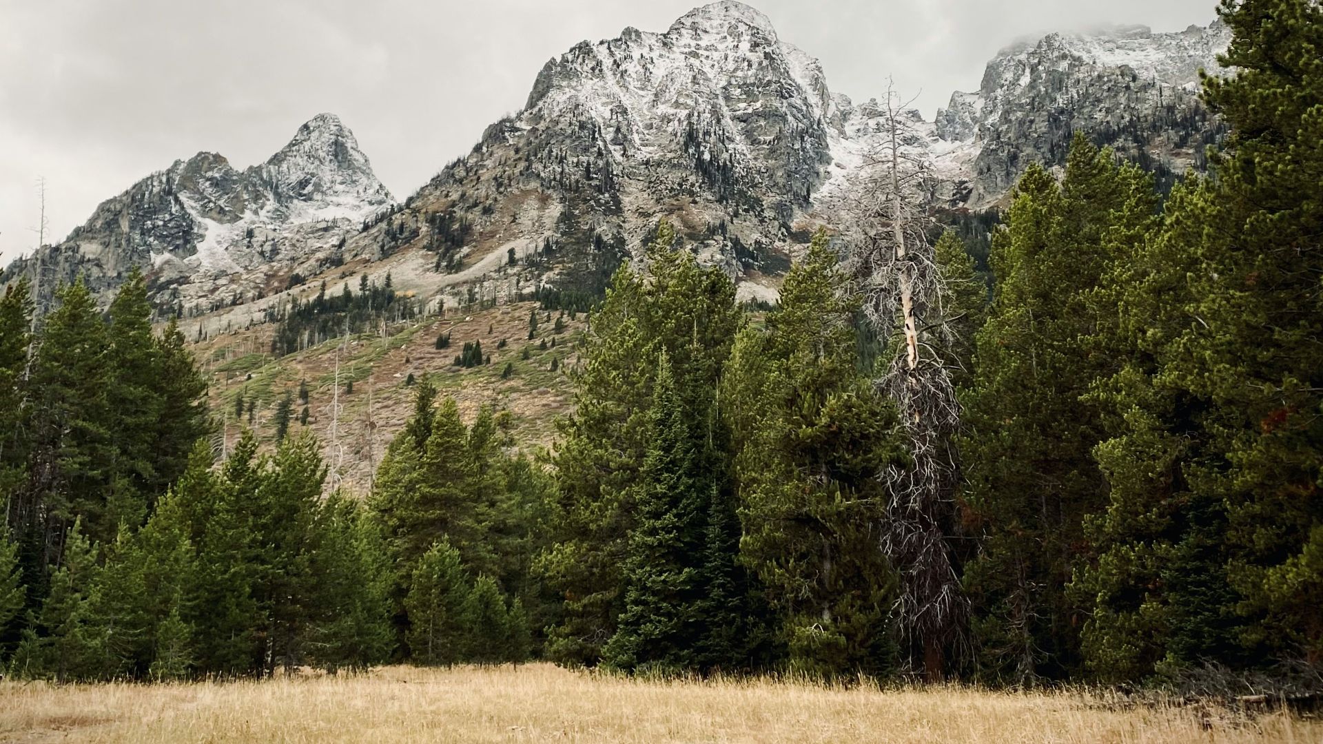 green trees near mountain under white sky during daytime