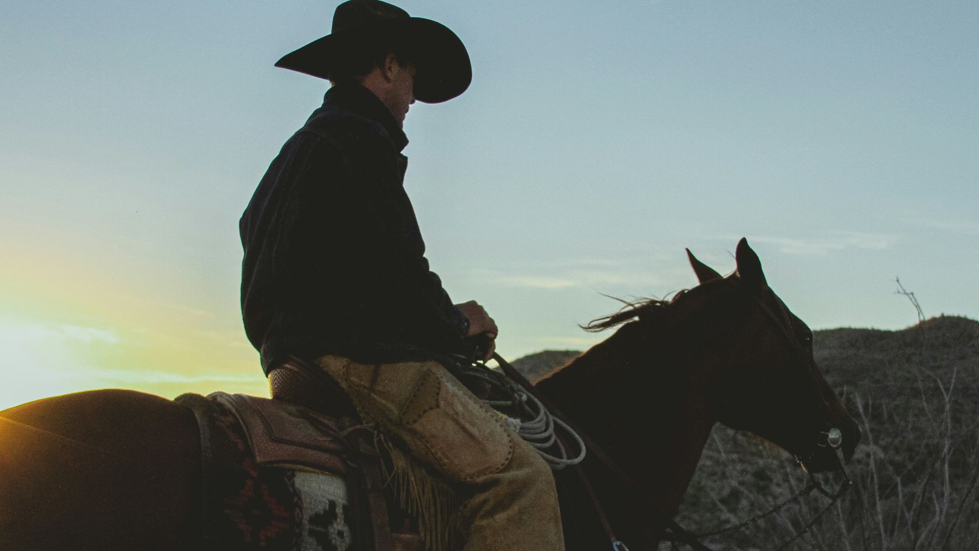 a man riding on the back of a brown horse