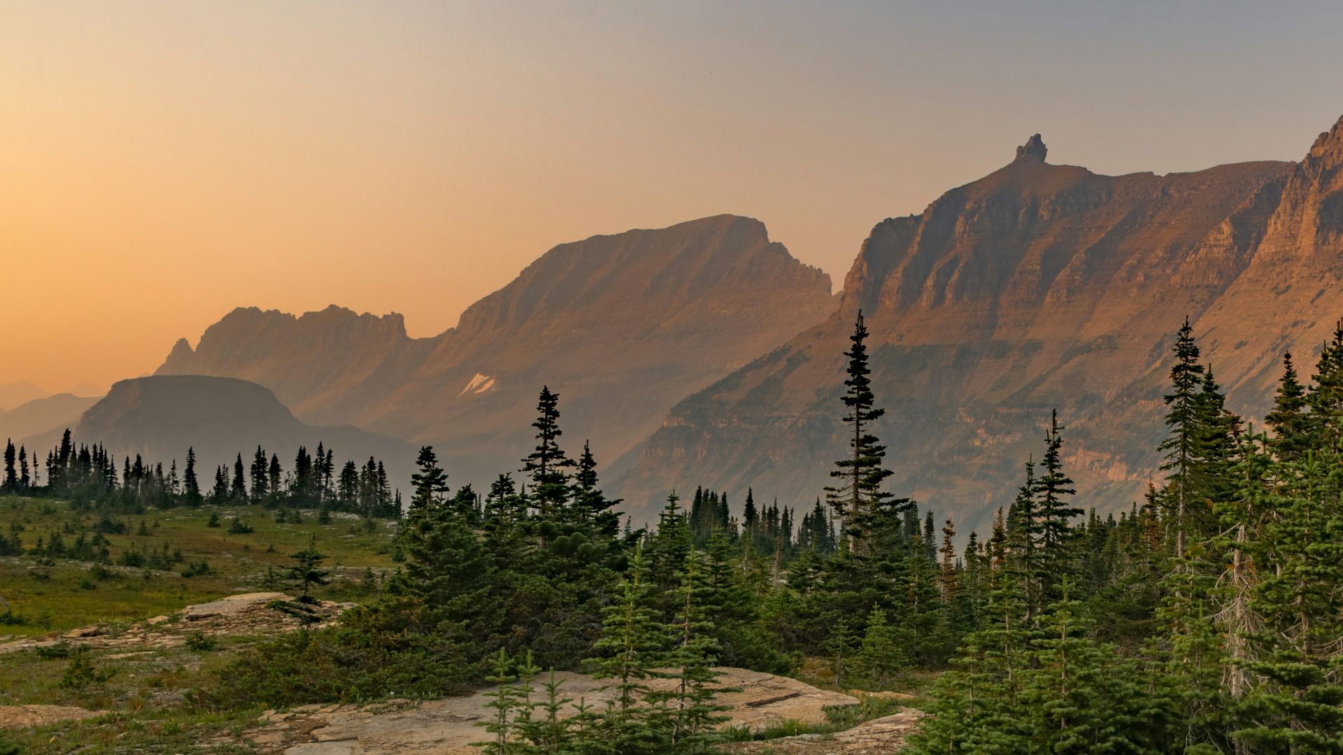 aerial photography of trees near mountain under blue sky