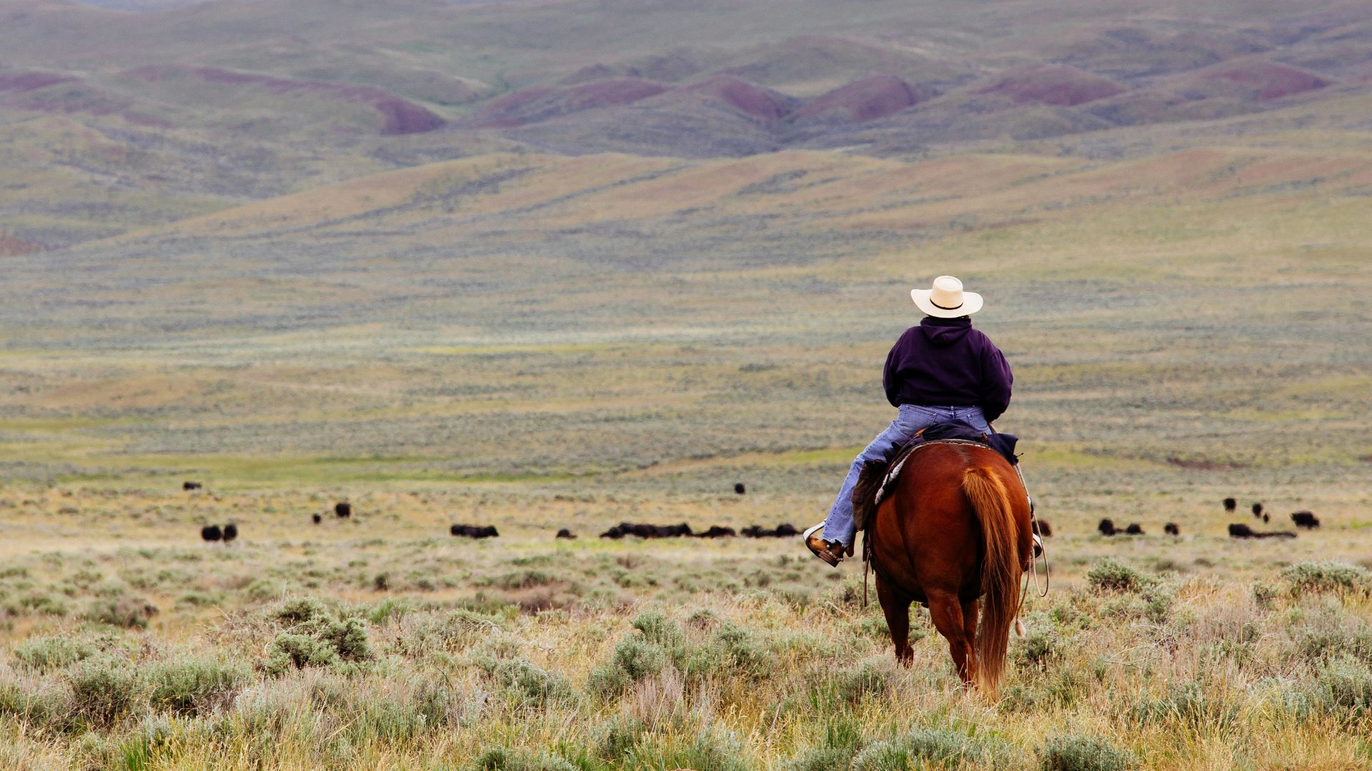 woman riding horse