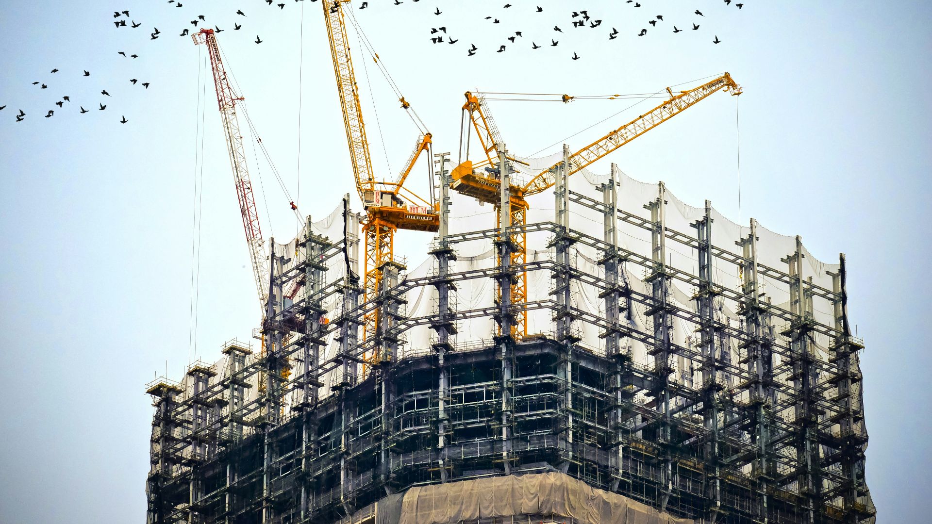low angle photography of cranes on top of building
