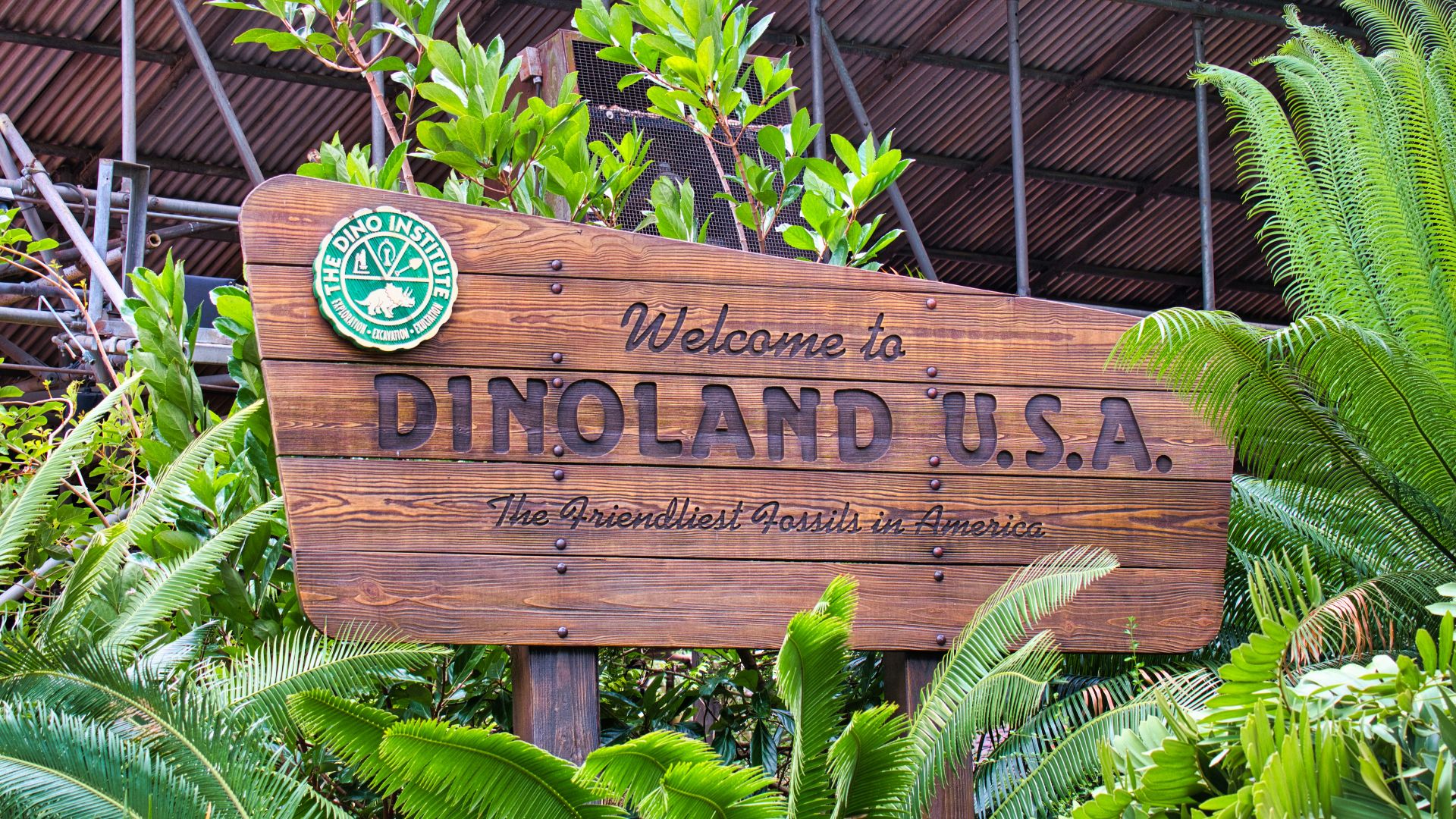 brown wooden signage near plants