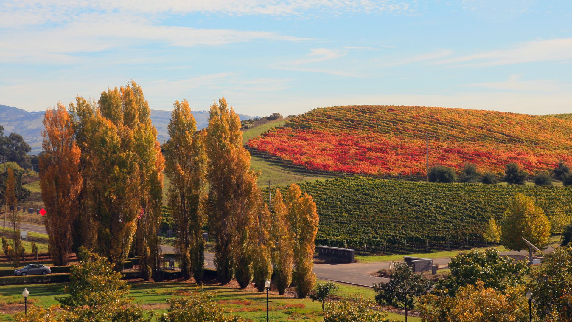 File:Fall in Napa Valley.jpg