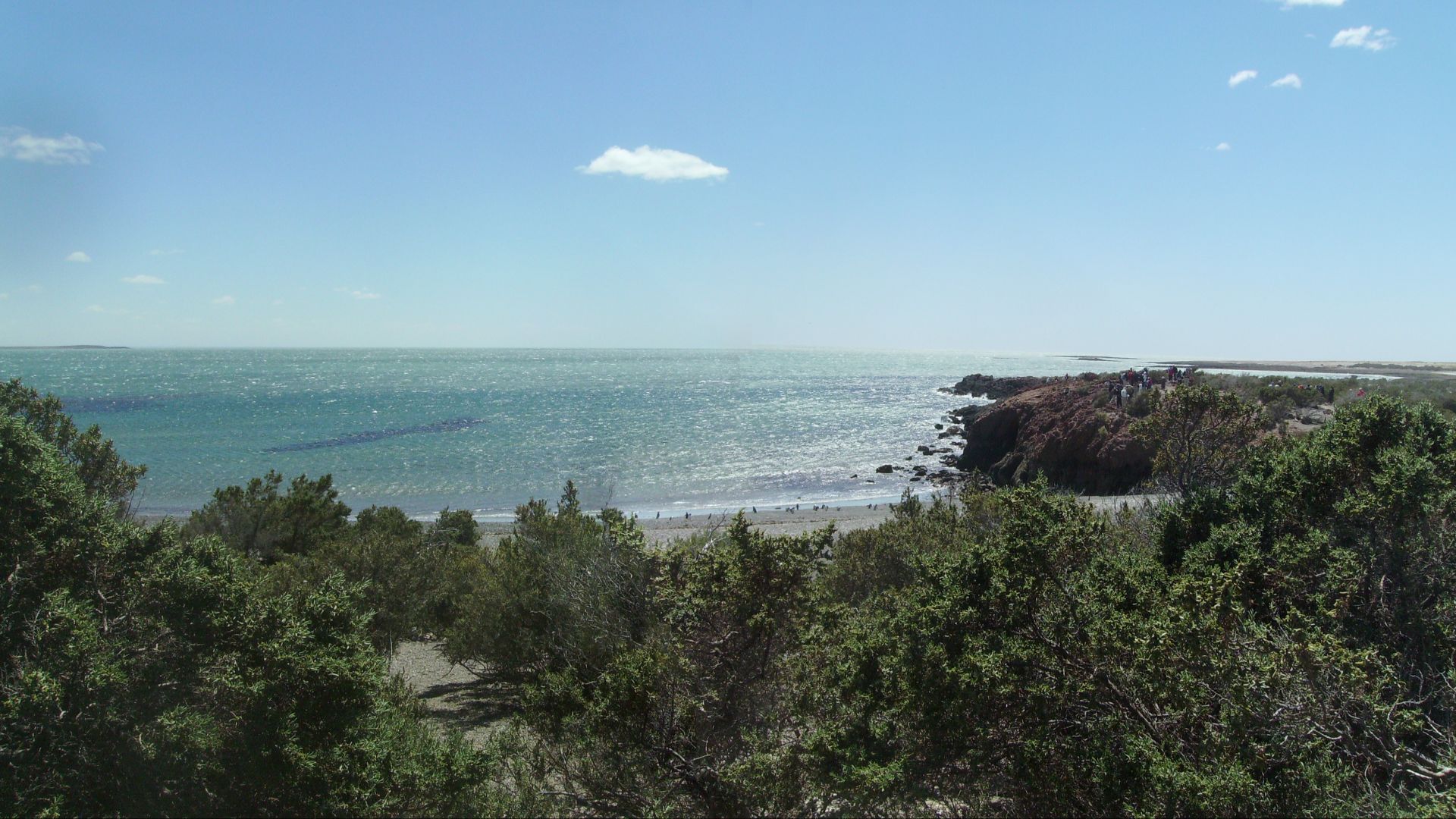 File:Punta Tombo - panoramio (4).jpg