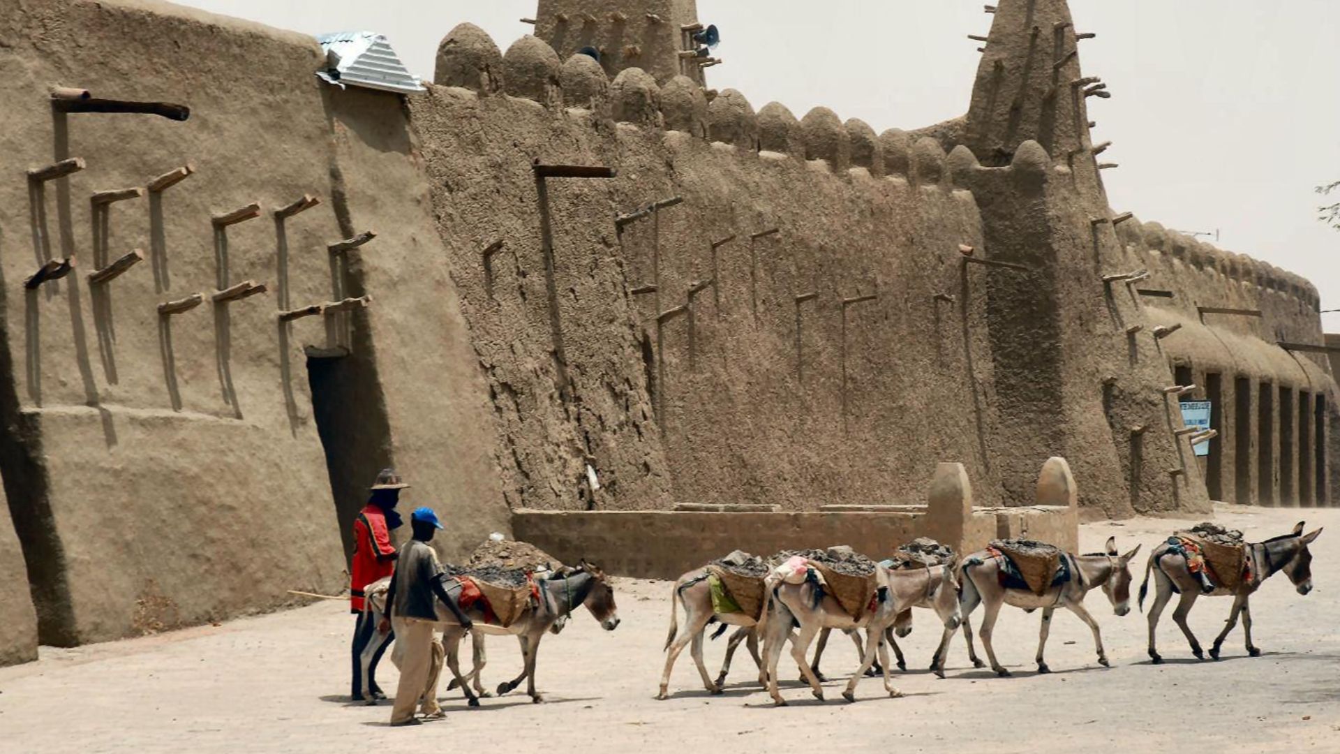File:Donkeys, Timbuktu.jpg