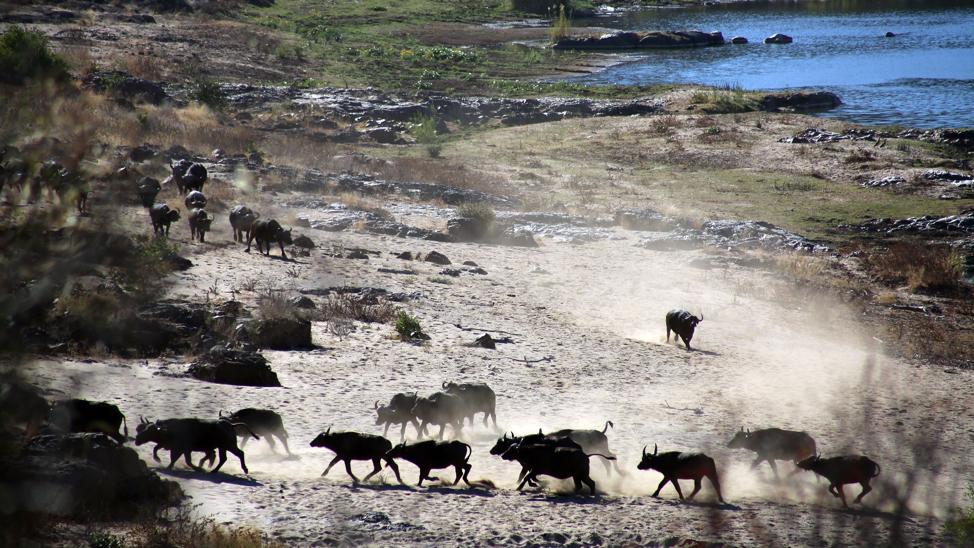 File:Kruger National Park, South Africa (36735202551).jpg