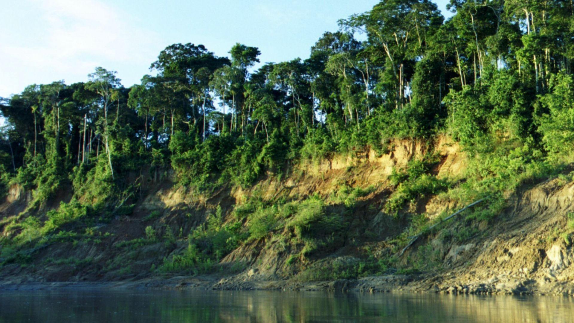 File:Manu riverbank.jpg