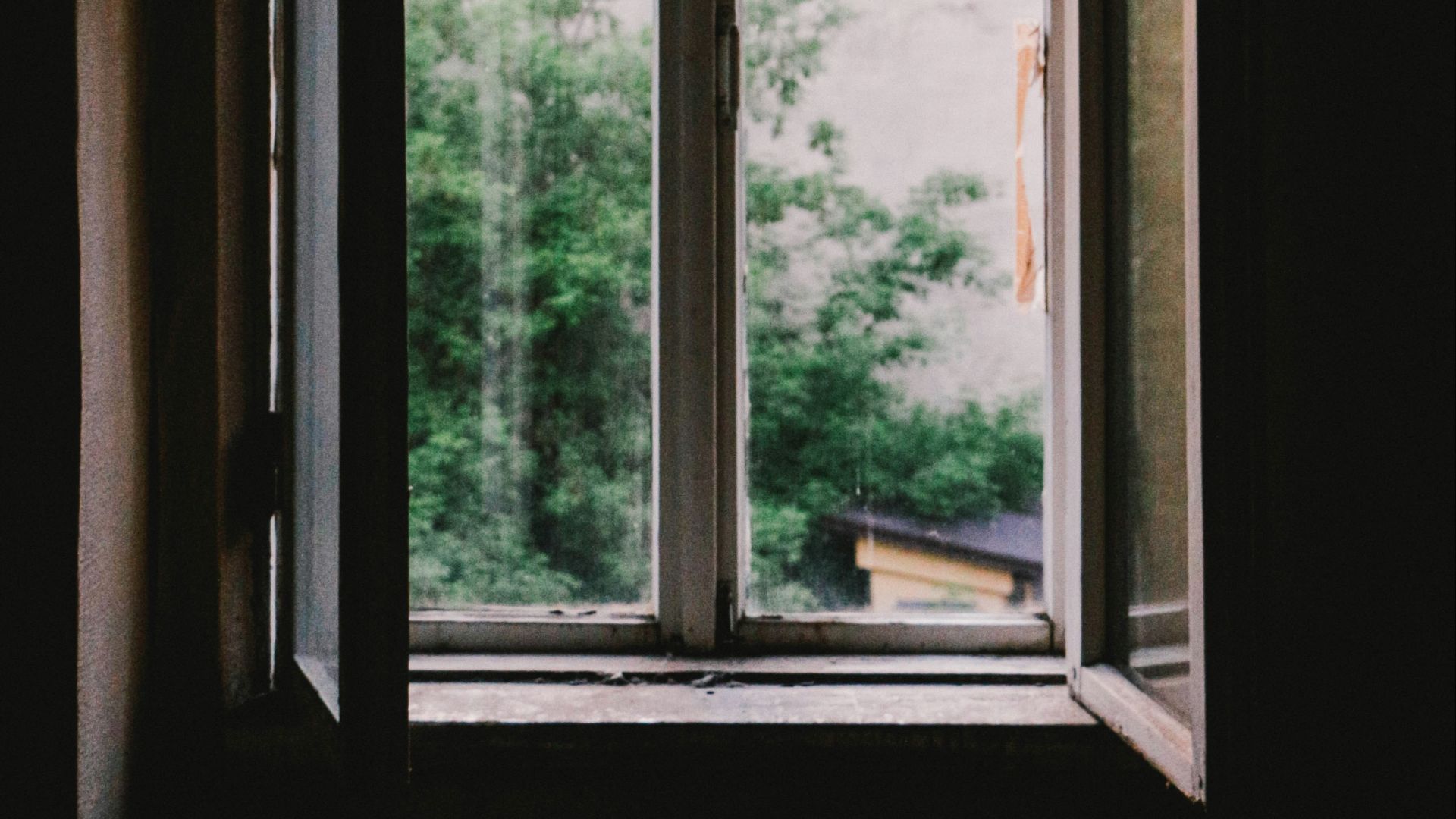 open casement window near plants