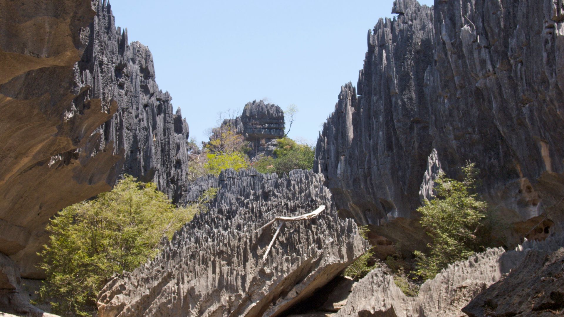 File:Namoroka Tsingy.jpg