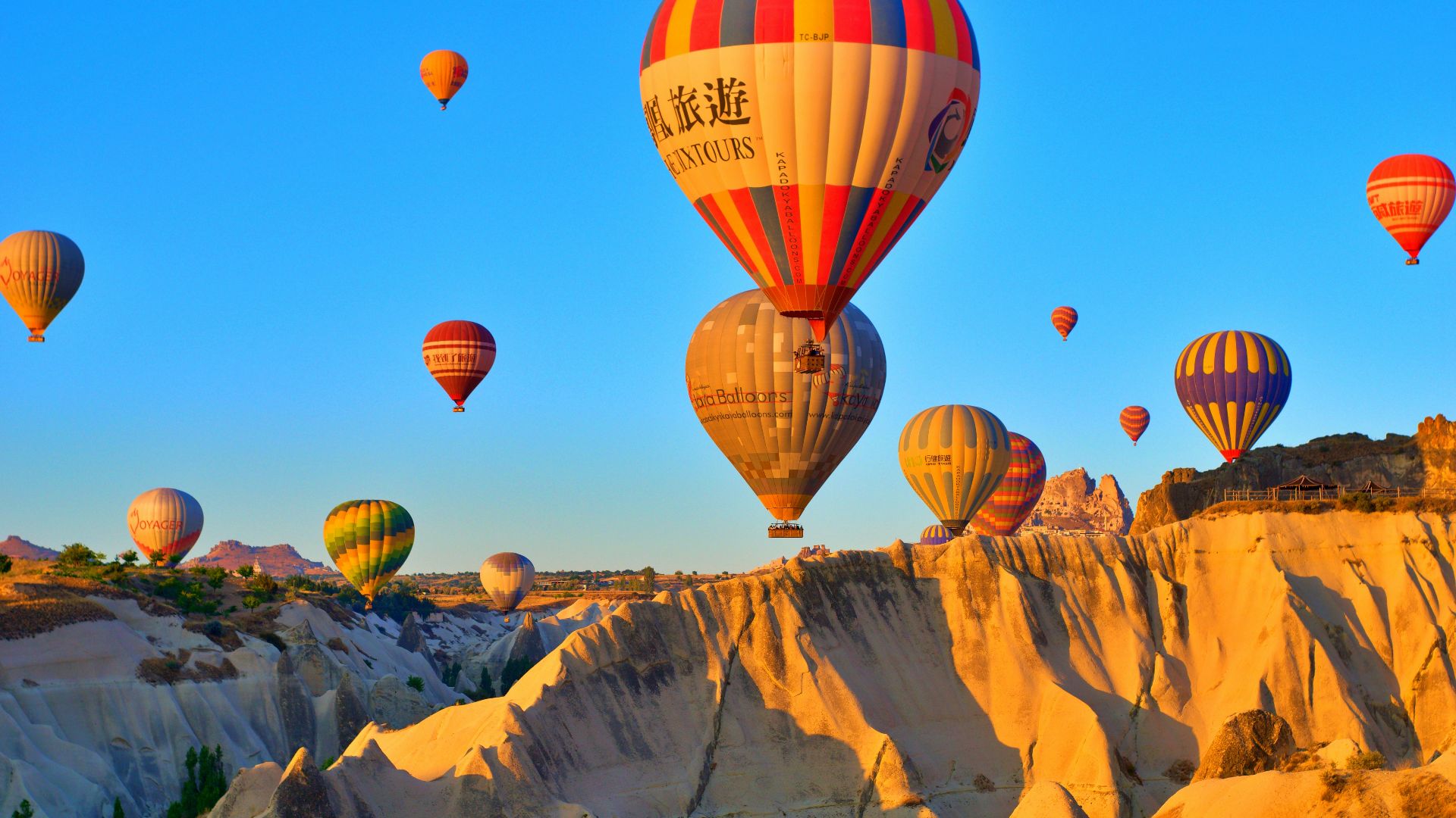 a group of hot air balloons flying in the sky