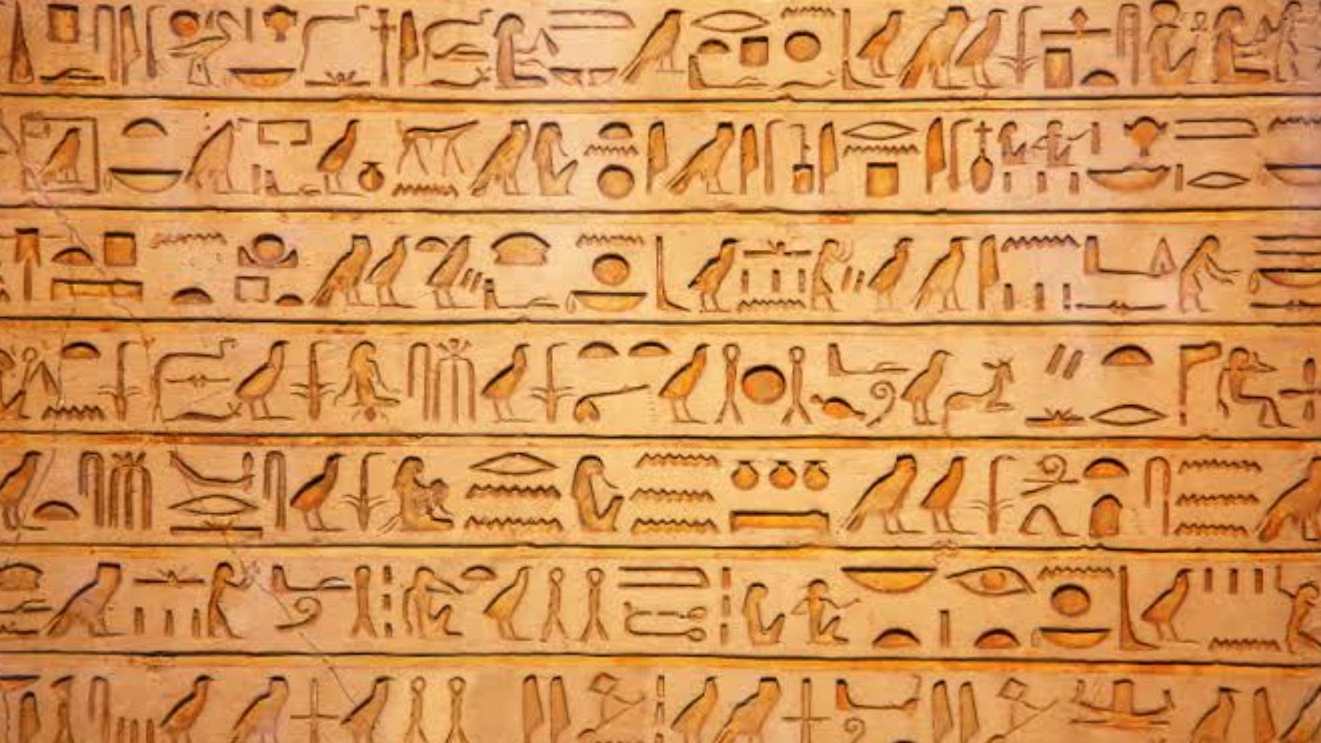 File:Egyptian hieroglyphics.jpg