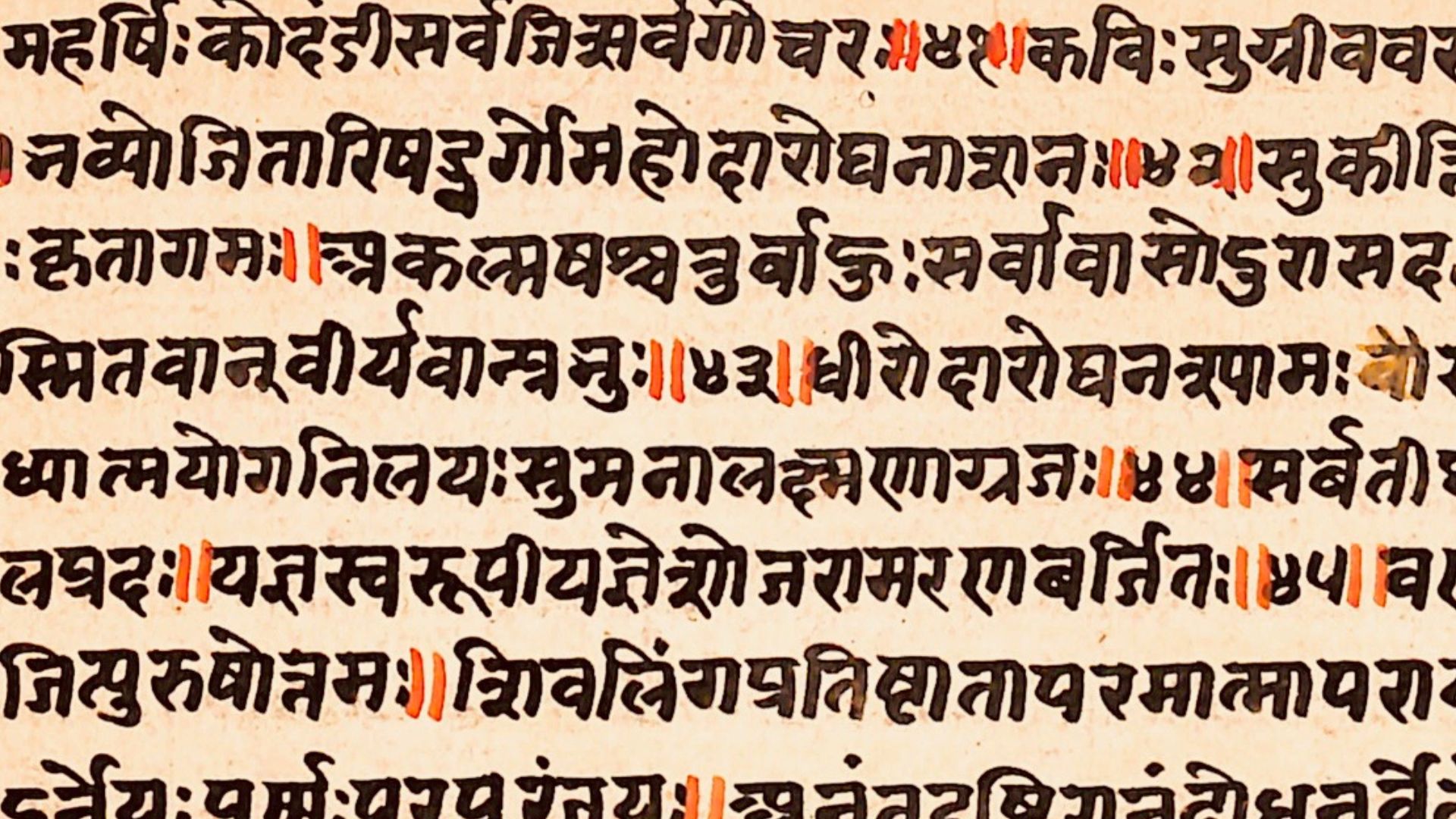 File:Linga Purana, Sanskrit, Devanagari.jpg