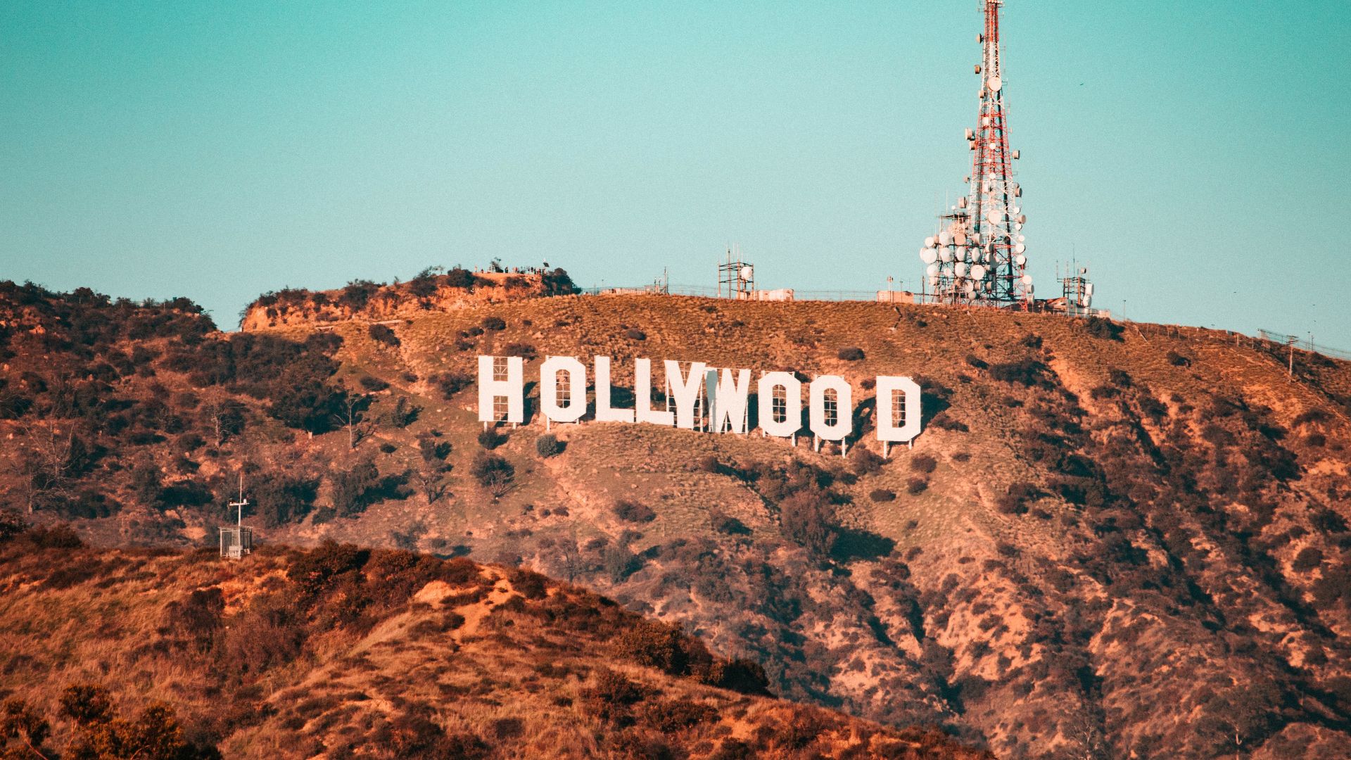 brown and white hollywood sign