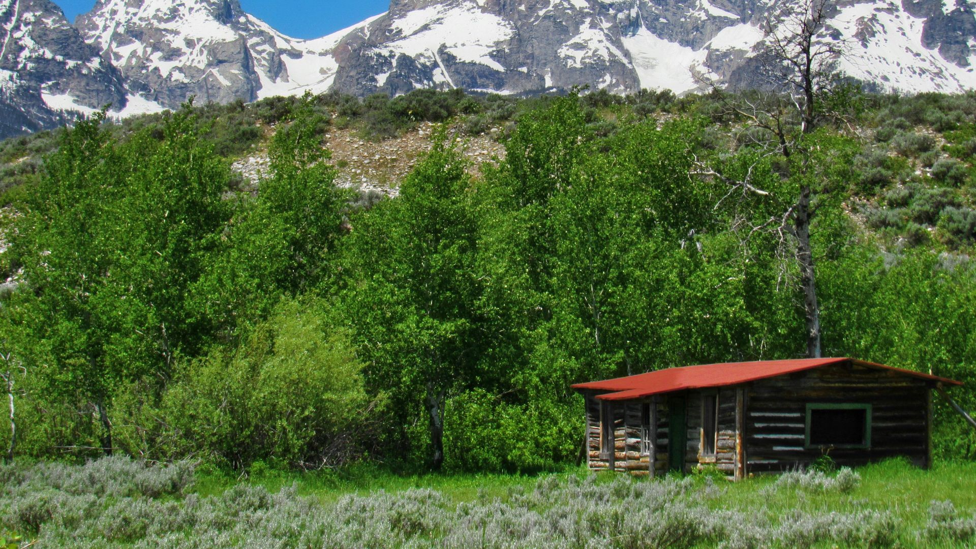 A cabin in a field with mountains in the background
