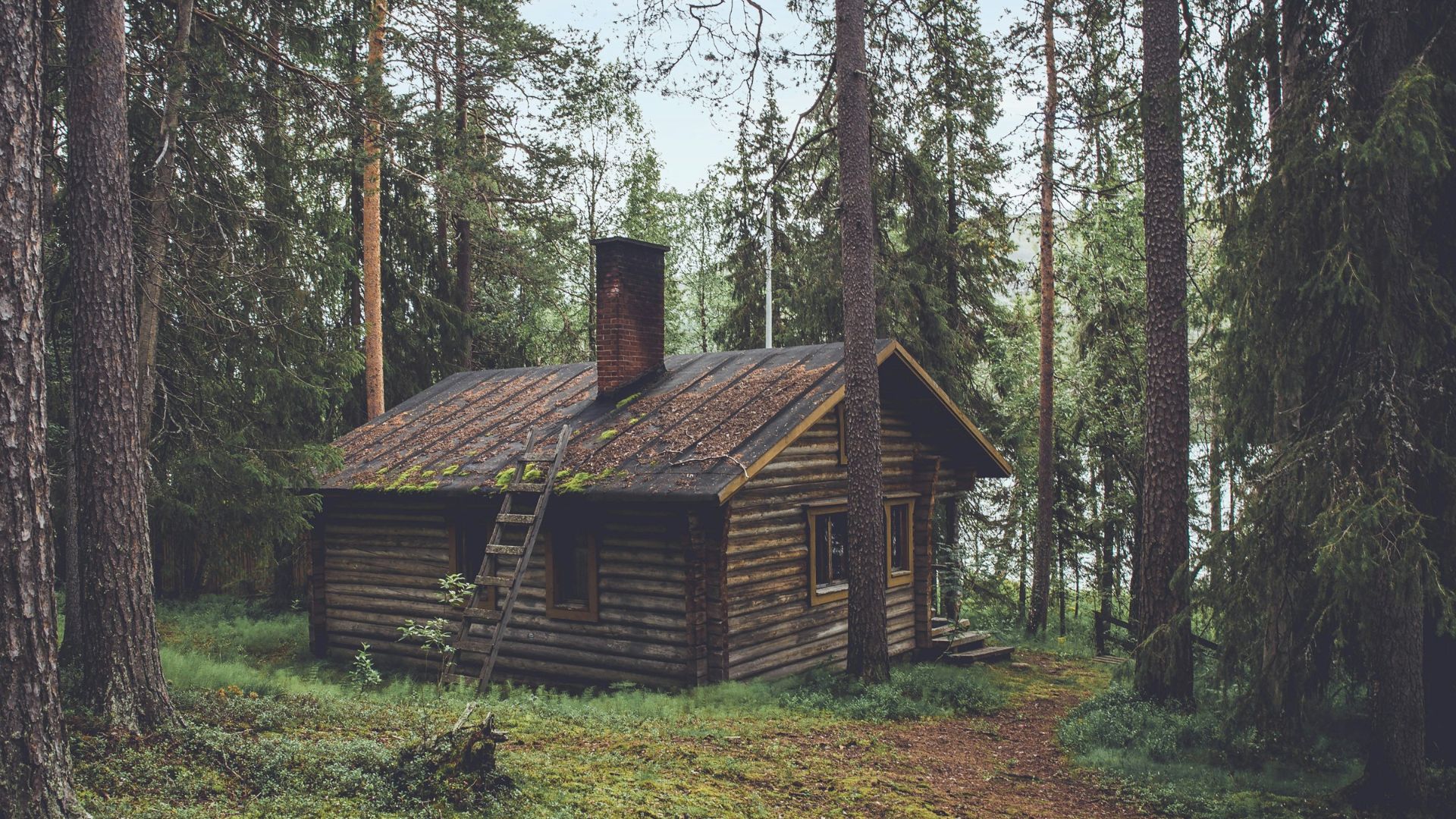 photo of brown wooden cabin in forest during daytime