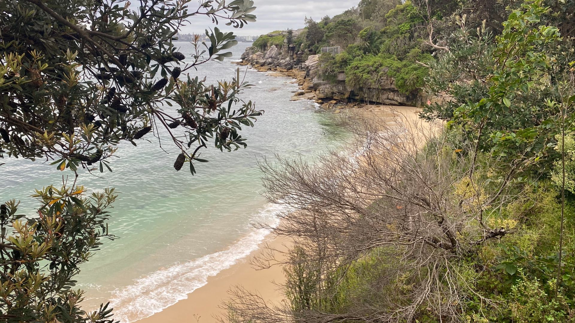 File:AUS Sydney, Woollahra, Lady Bay Beach 002.jpg