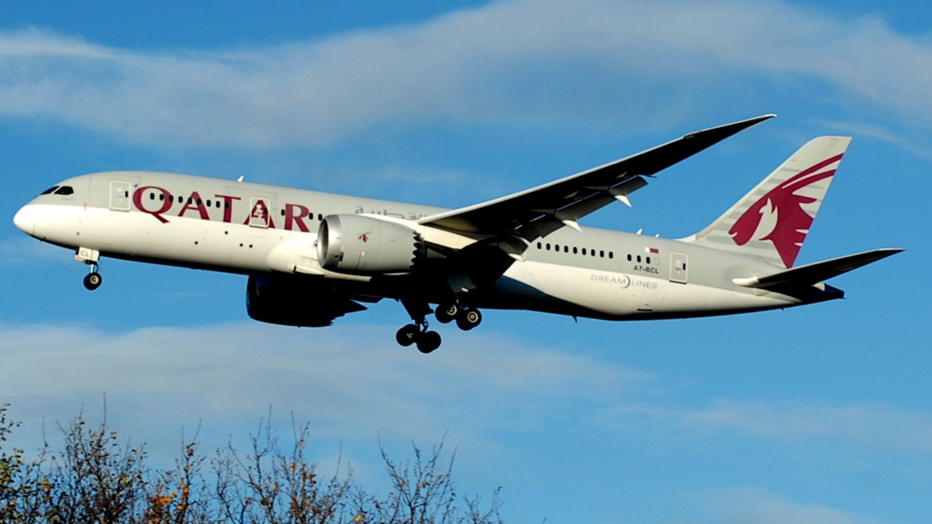 File:Qatar Airways B787, A7-BCL.jpg