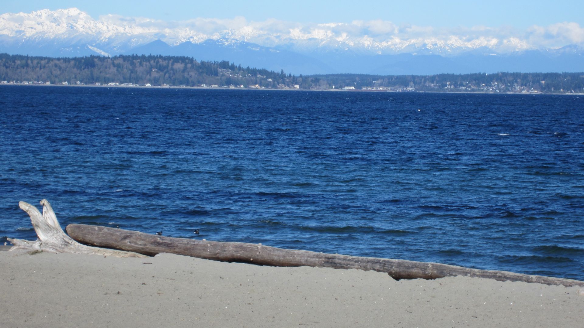 File:Alki Beach, Seattle, Washington, April 2012.JPG